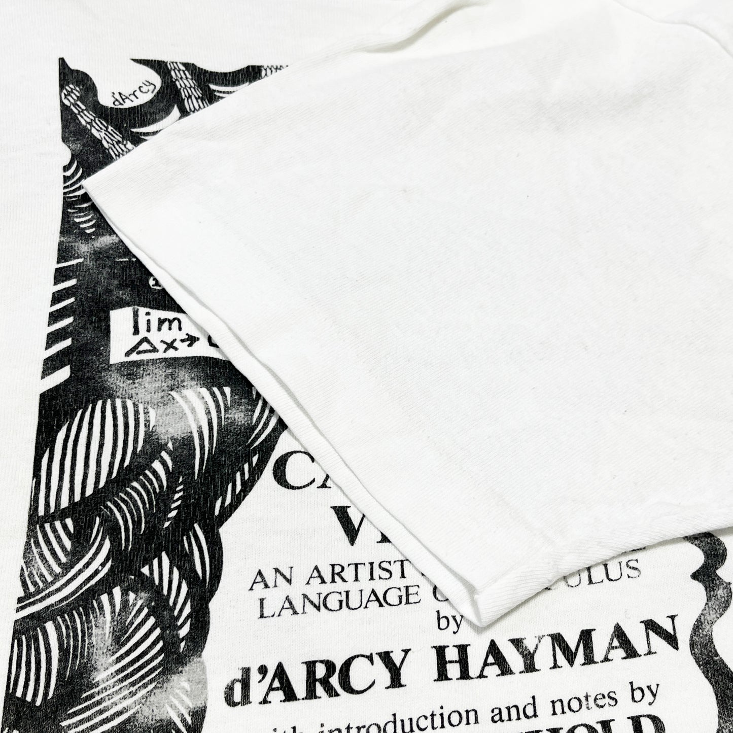 90's FRUIT OF THE LOOM d’Arcy Hayman "The Calculus Virgin" T Size (XL)