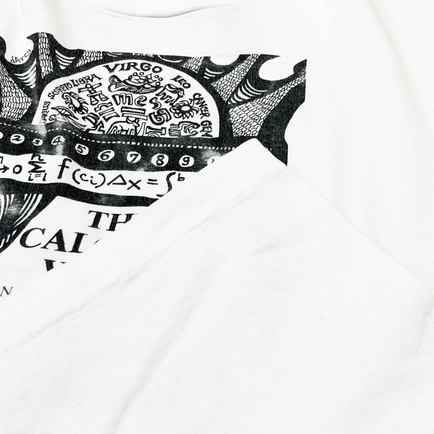 90's FRUIT OF THE LOOM d’Arcy Hayman "The Calculus Virgin" T Size (XL)