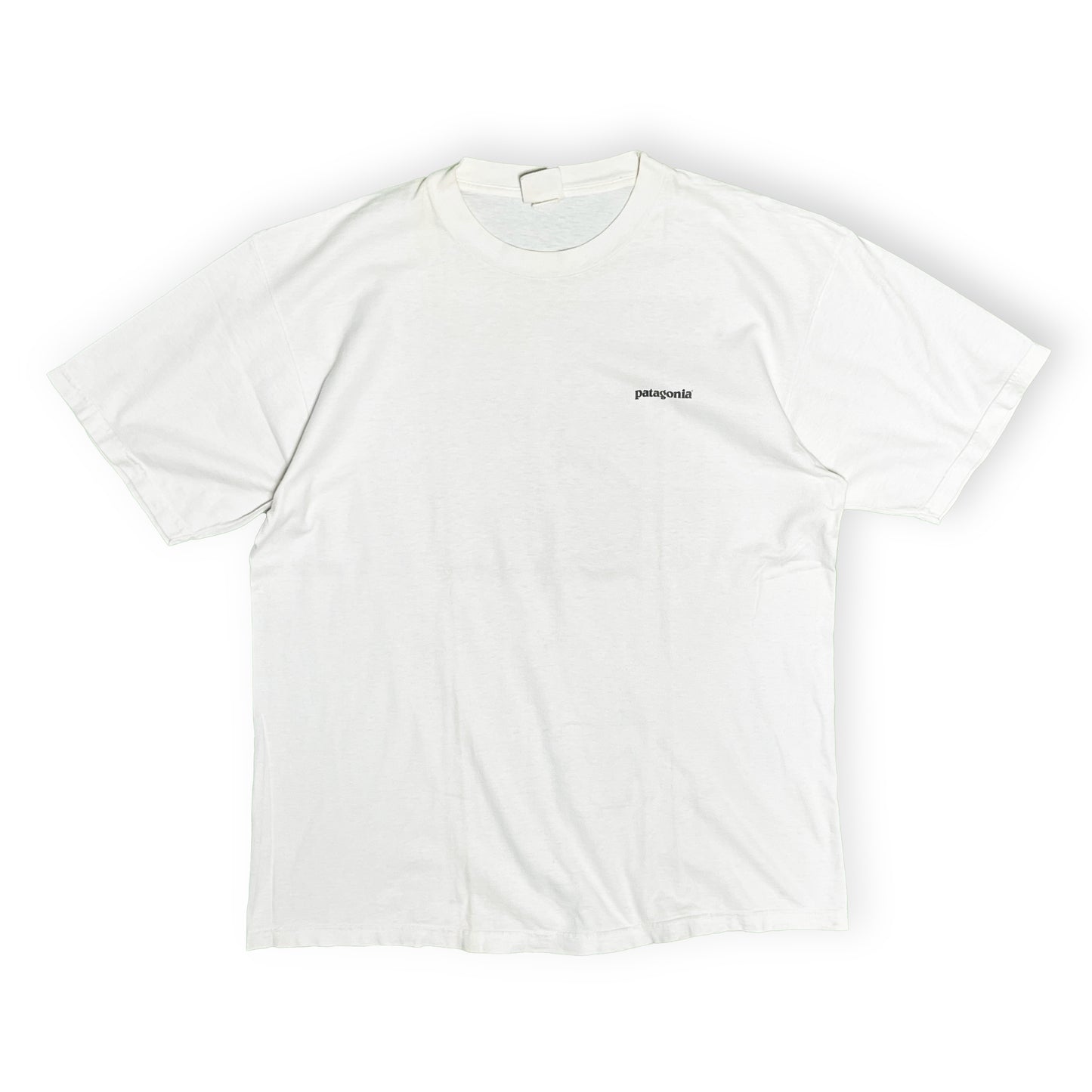 90's Patagonia T 両面プリント Size (L)