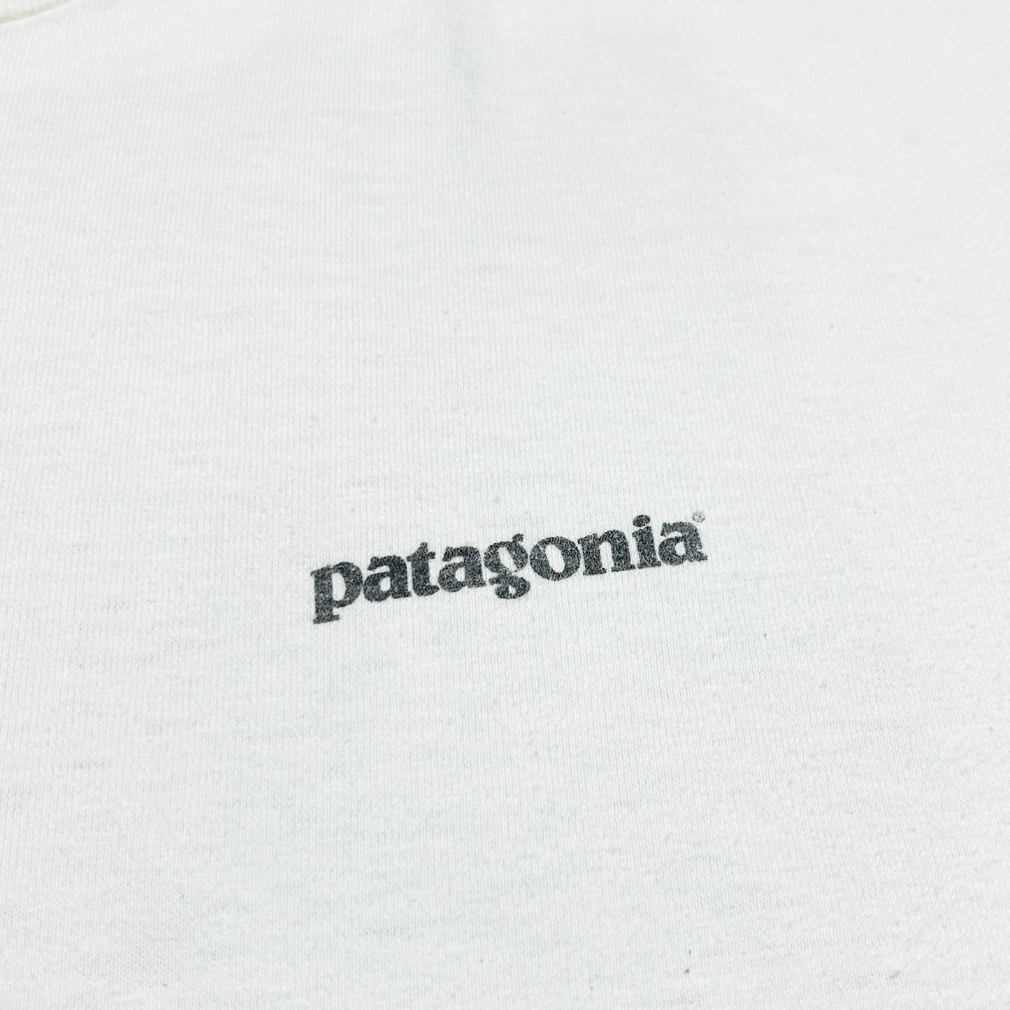90's Patagonia T 両面プリント Size (L)