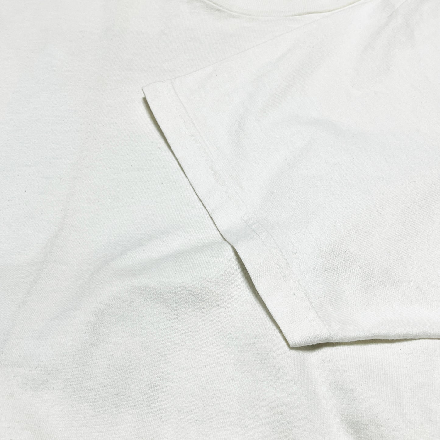 90's Patagonia T 両面プリント Size (L)