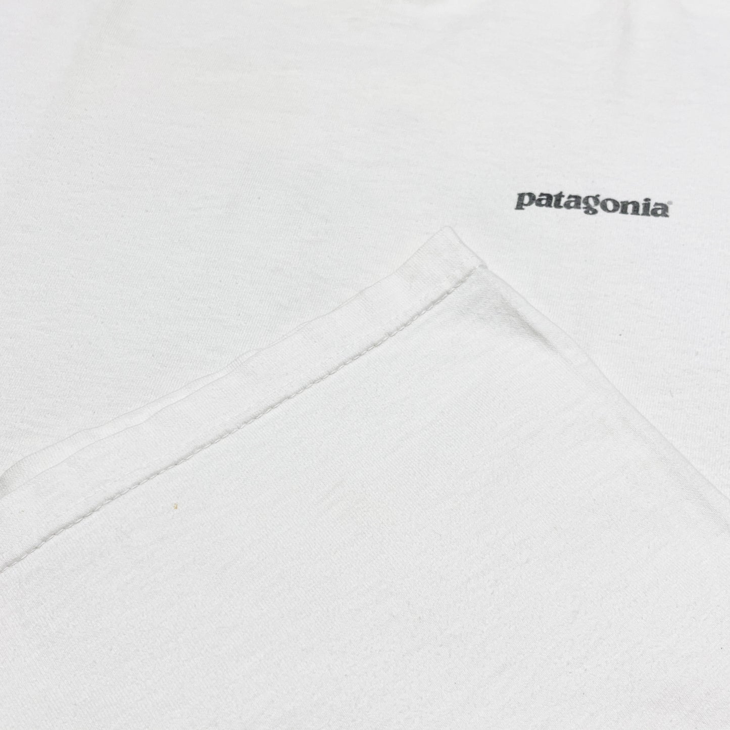 90's Patagonia T 両面プリント Size (L)