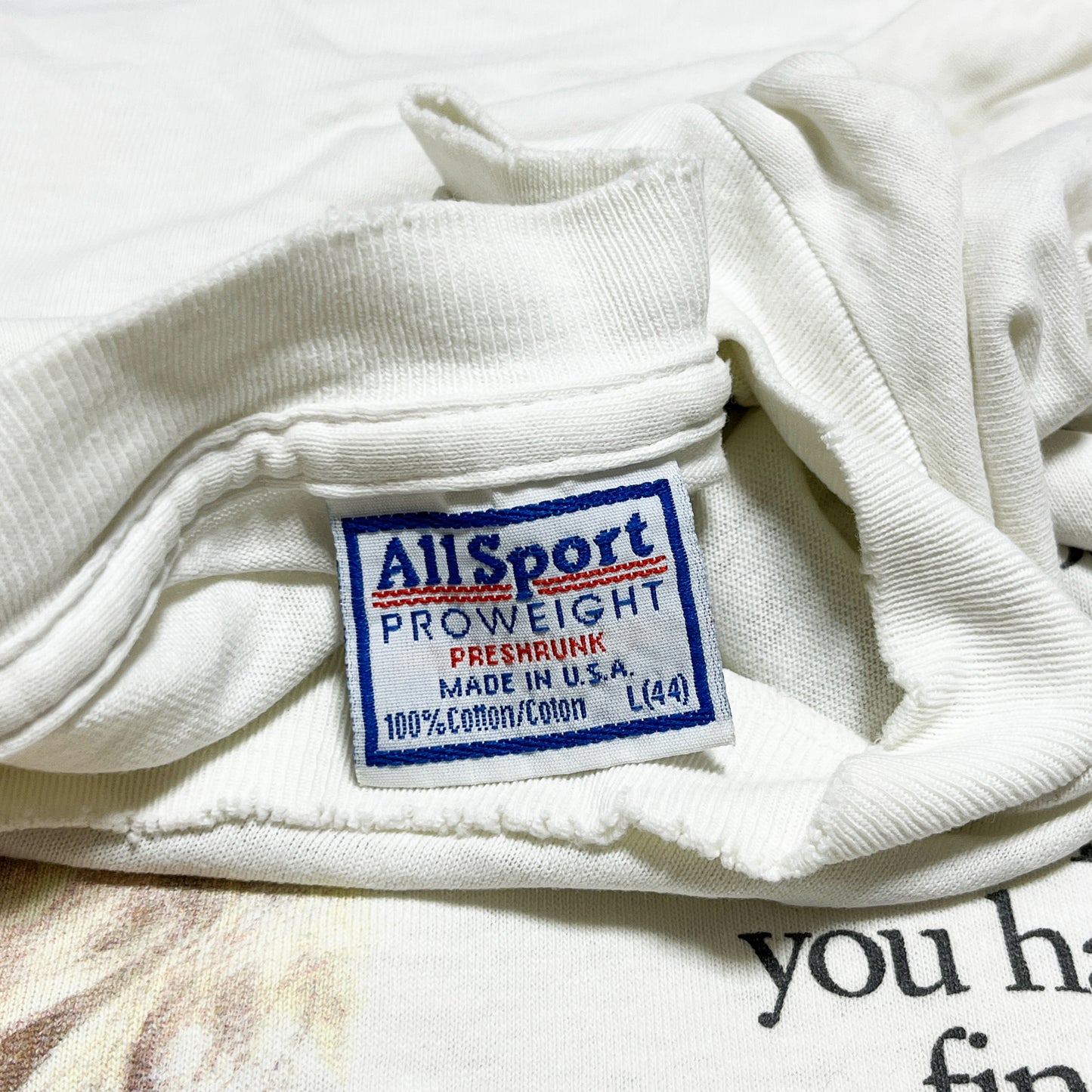 90'S Allsport MILK MONEY T Size (L)