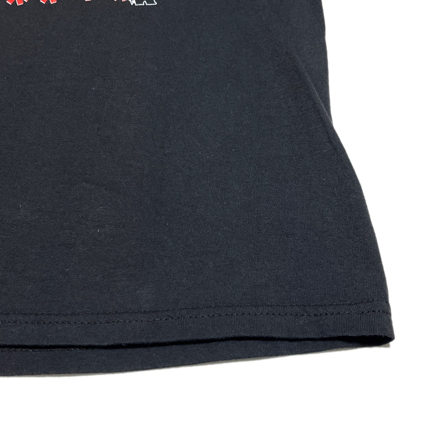 00s TENNESSEE RIVER Red Hot Chili Peppers T 2006 Tour L レア ディテール 3 Tシャツの袖口 縫い目と素材の質感
