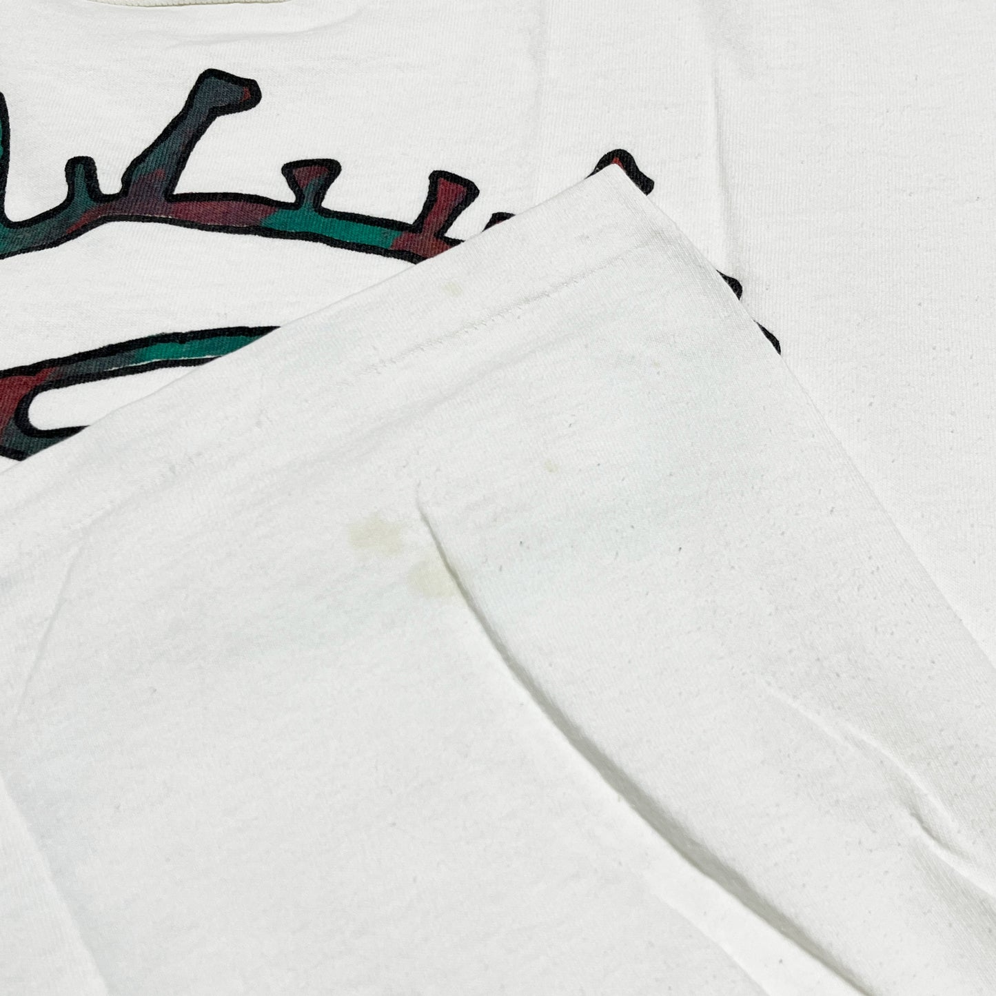 90's FRUIT OF THE LOMM "Artburn" T Size (XL)