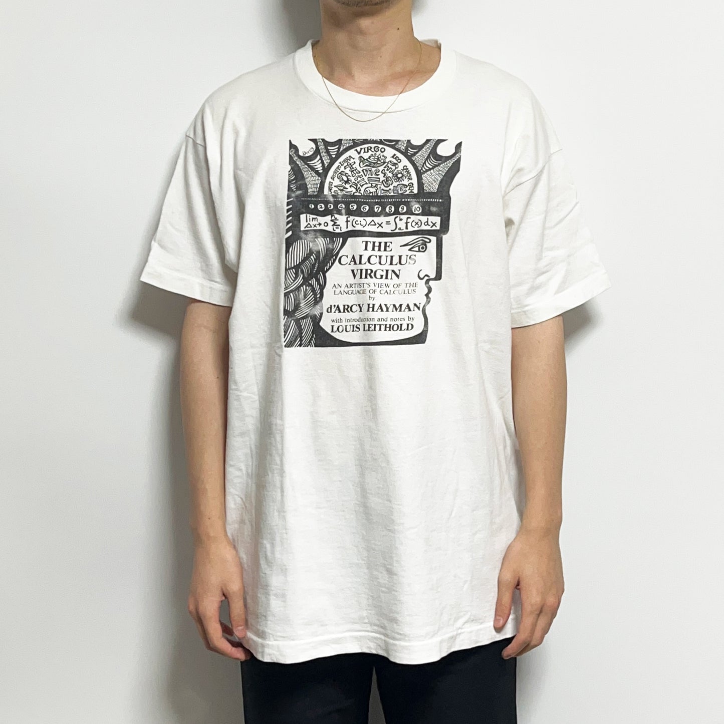 90's FRUIT OF THE LOOM d’Arcy Hayman "The Calculus Virgin" T Size (XL)