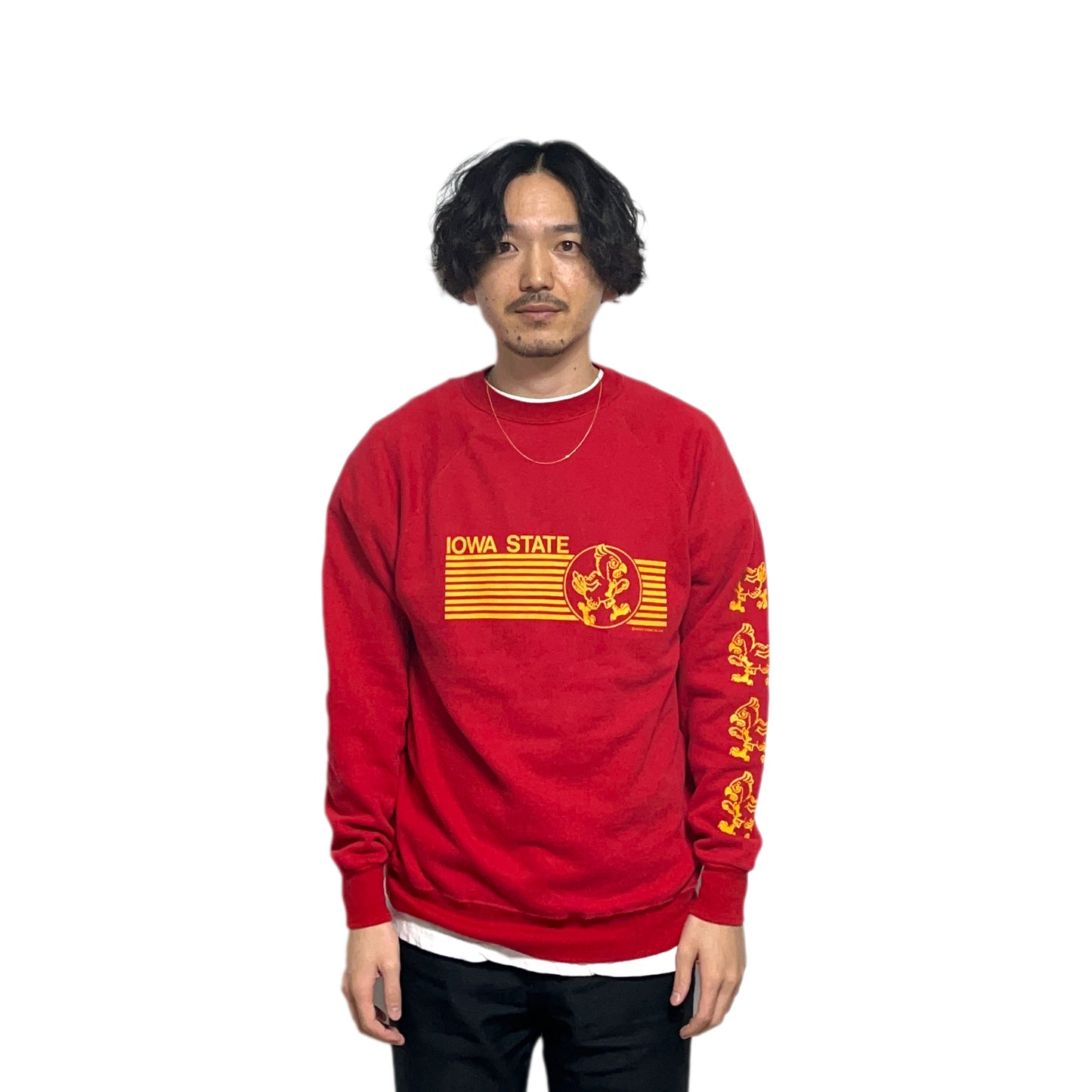 80's〜 UnKnown IOWA STATE Sweat Size (L-XL)位