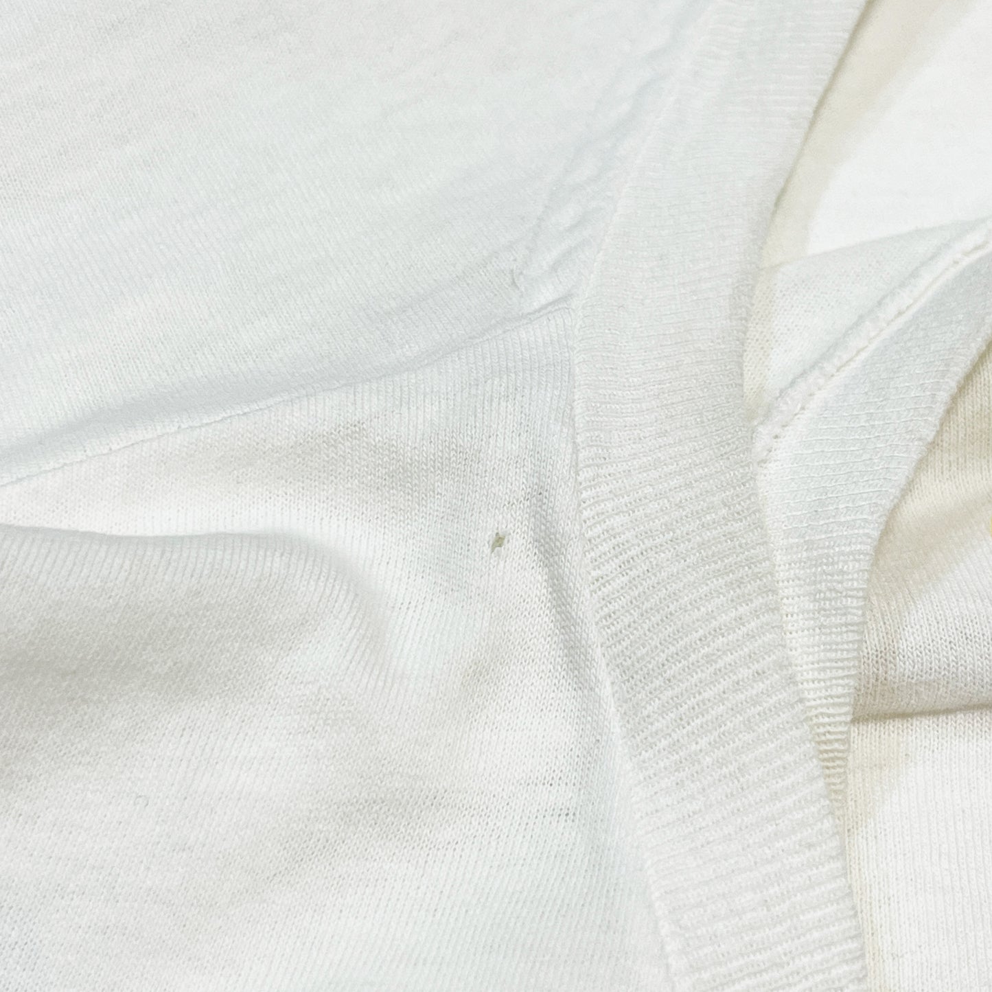 80's Hanes Apple T レインボーロゴ Size (L)