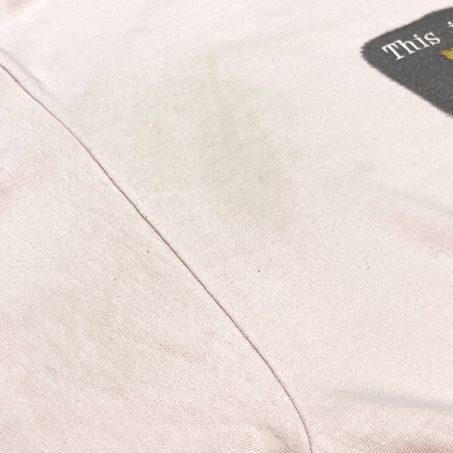 90's Walt Disney World Minnie Mouse T Size (XL)位