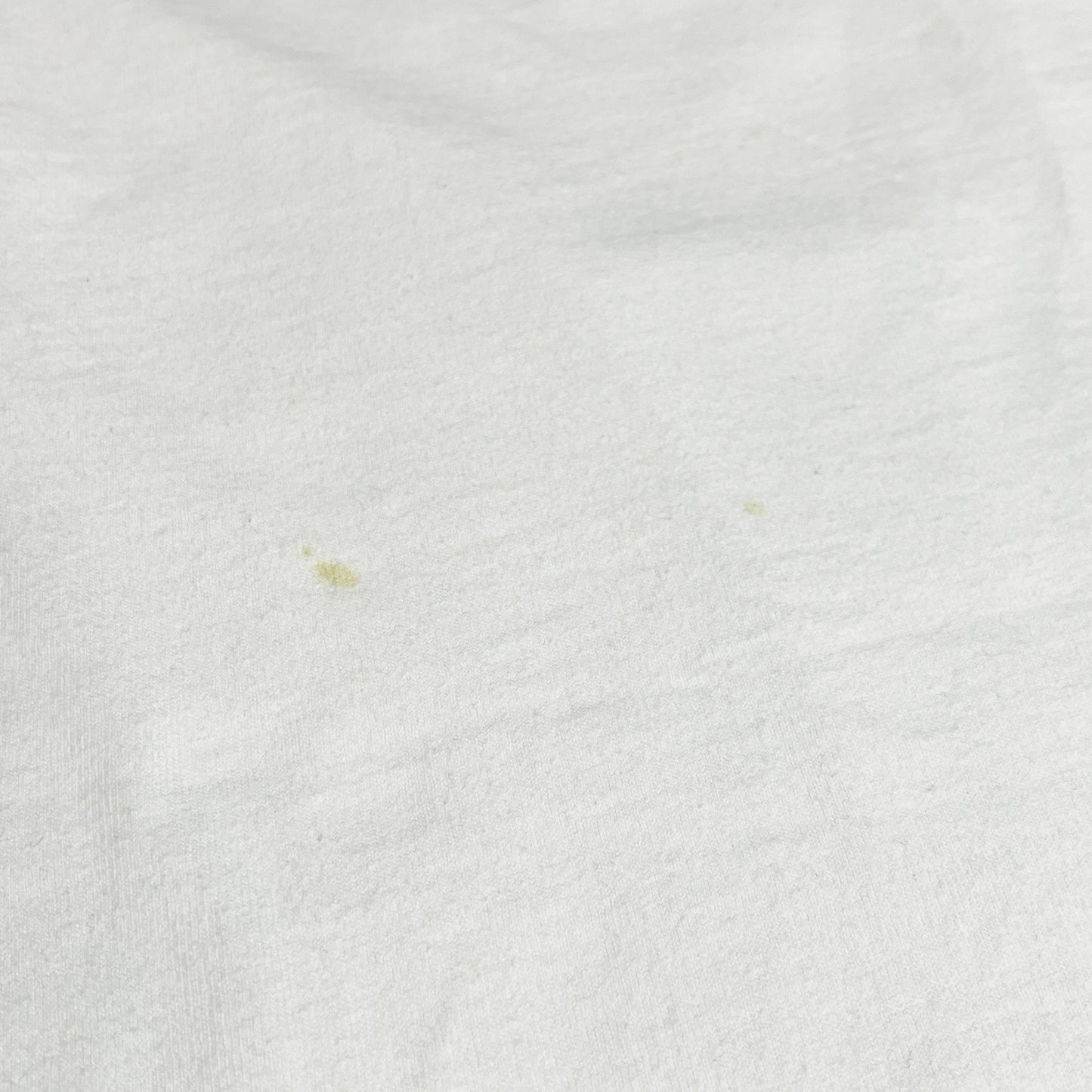 80's〜 Anvil Caboodles T Size (XL)位