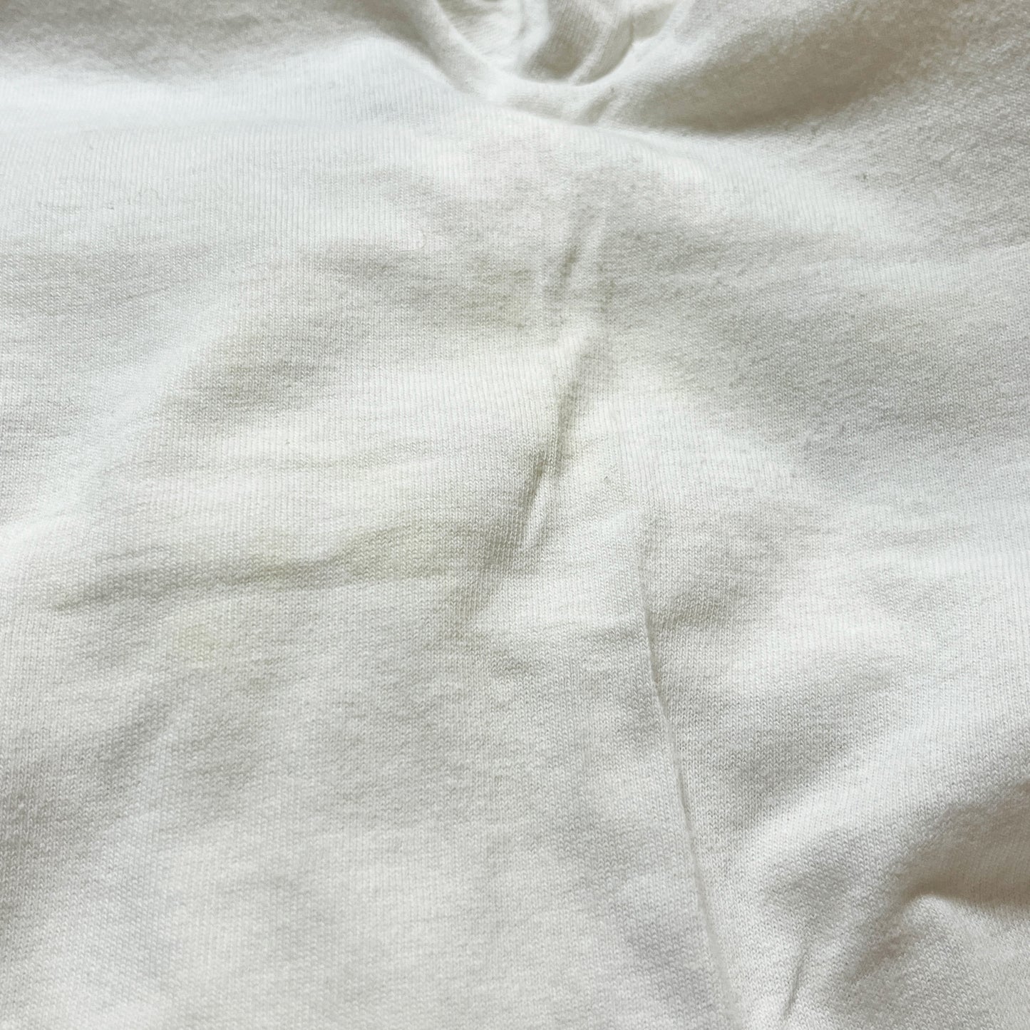 90's Old Stussy T Size (L)