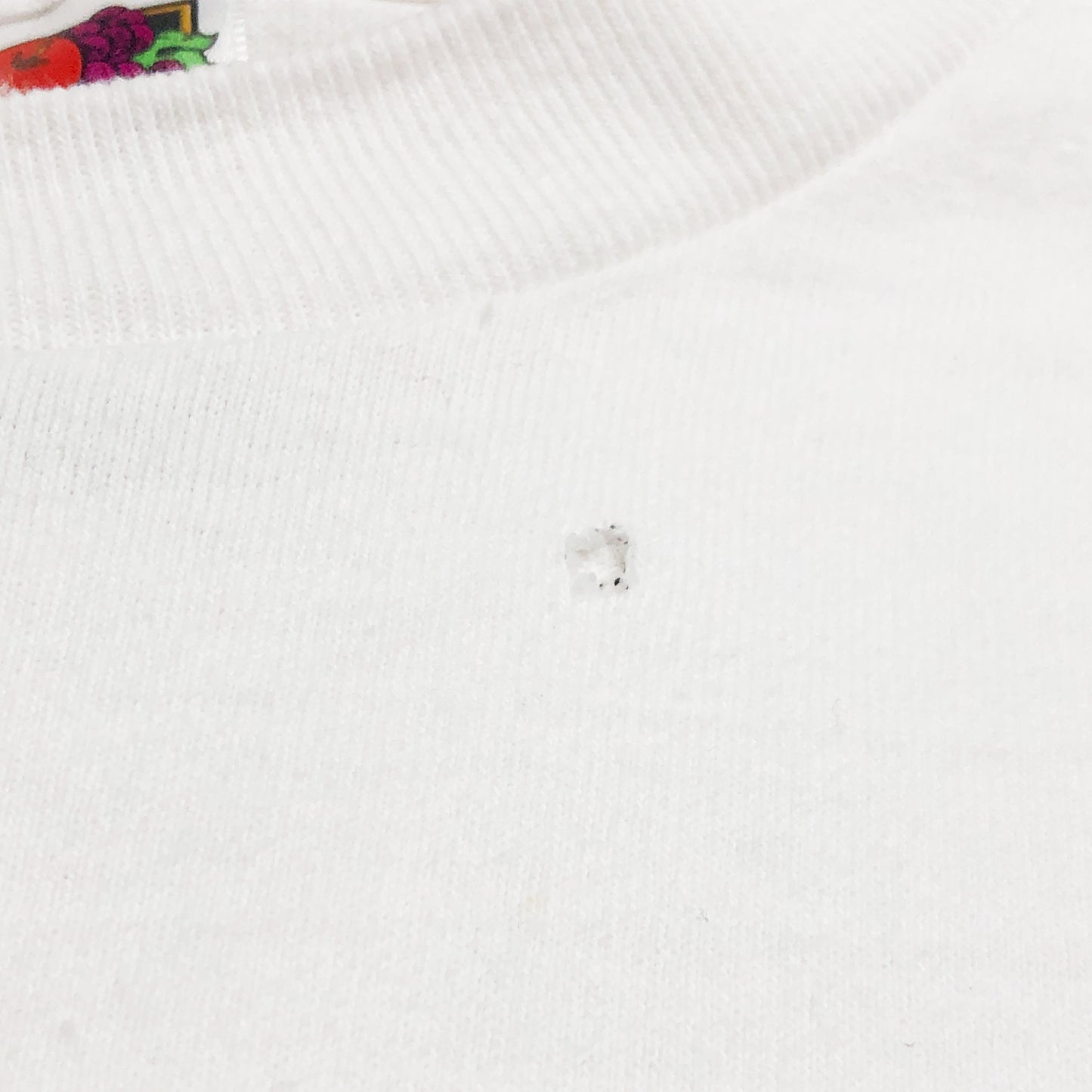 90's〜 FRUIT OF THE LOOM Bauhaus T Size (XL)