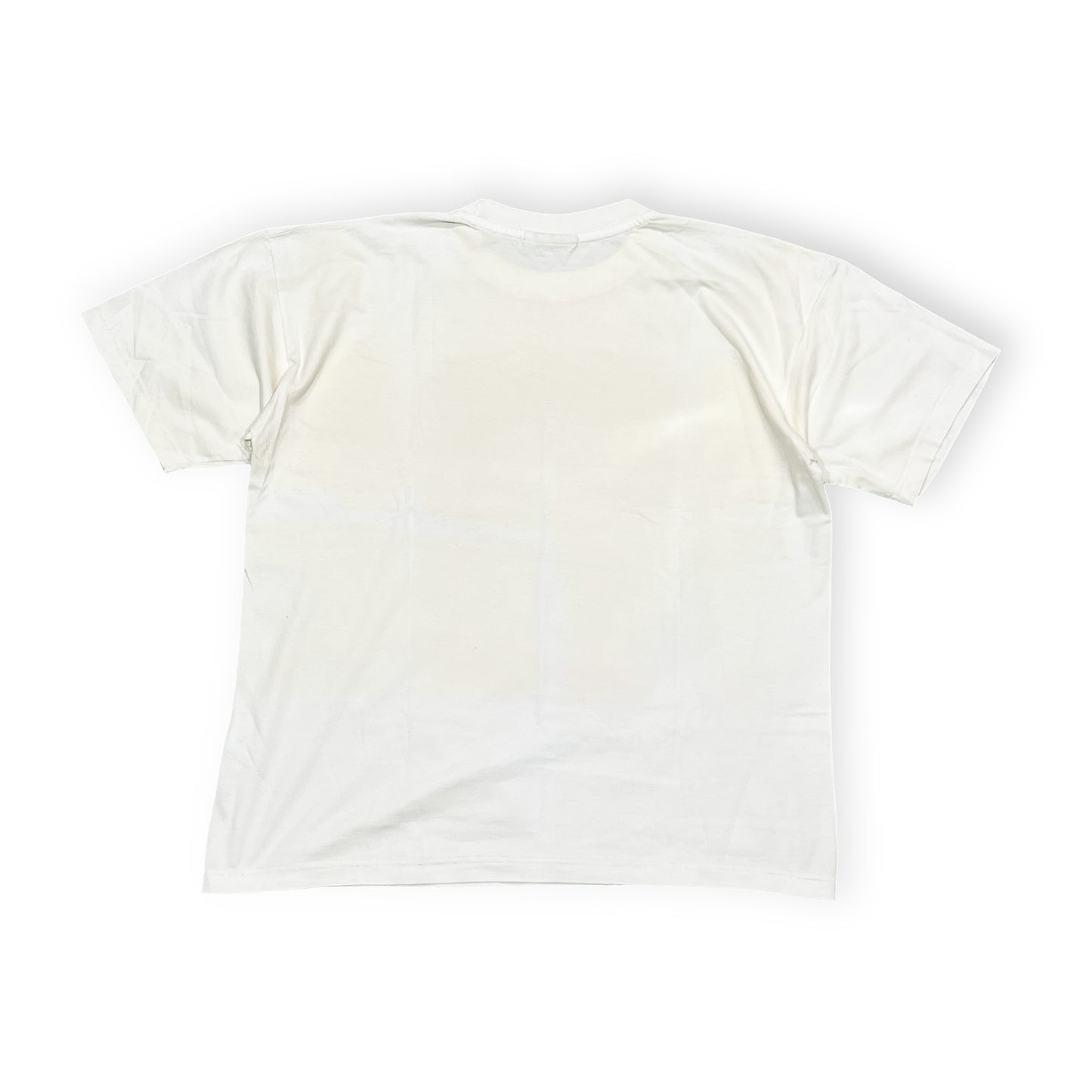 90's SWITCHER Leonardo DiCaprio T Size (M)