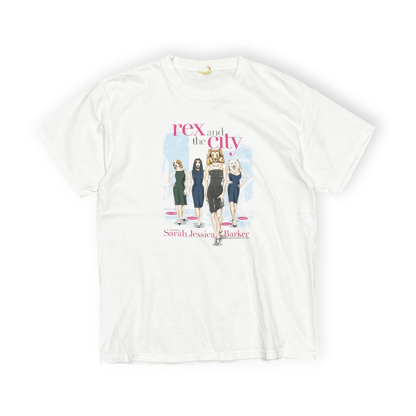 00's UnKnown Rex and the City T Size (L)位