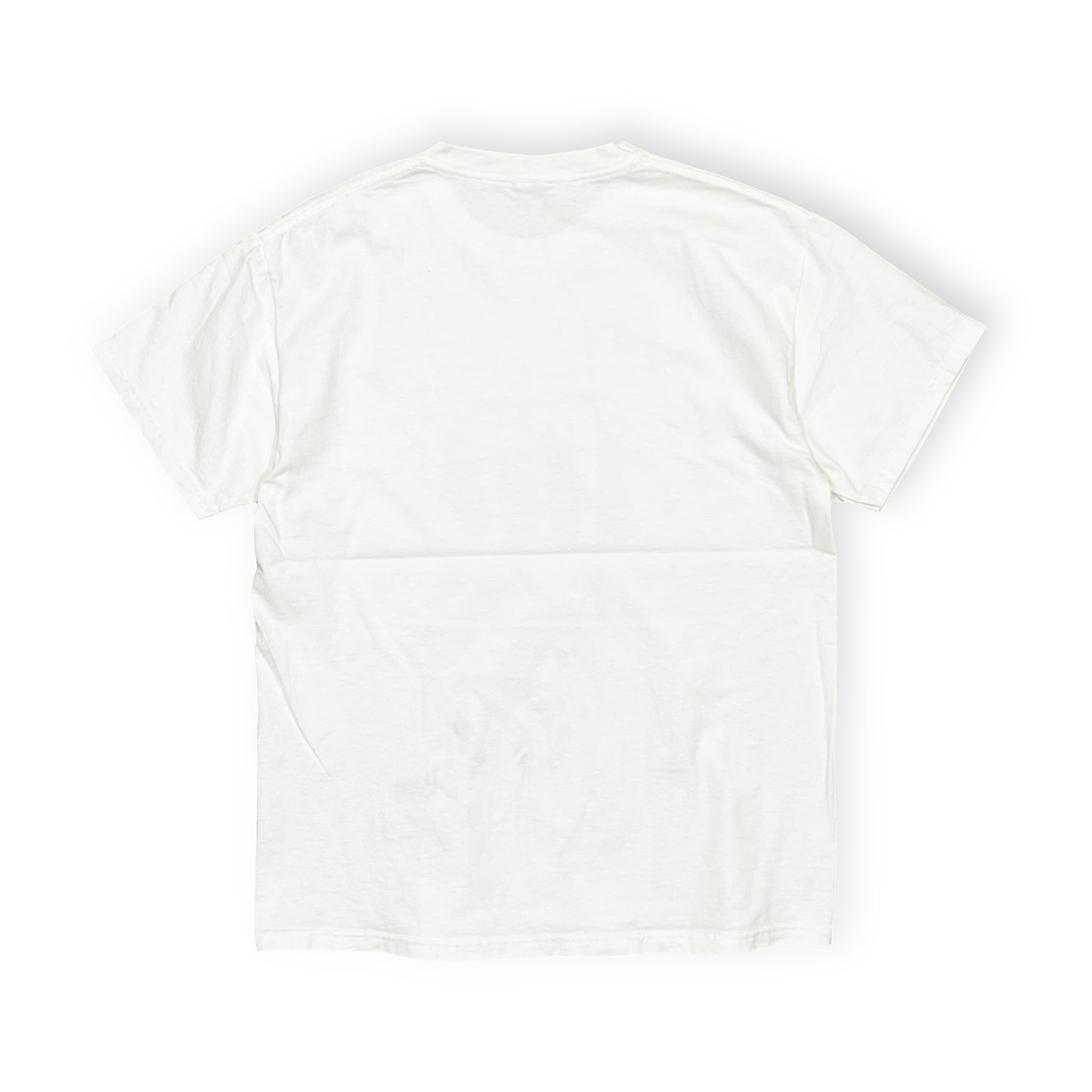 00's UnKnown Rex and the City T Size (L)位