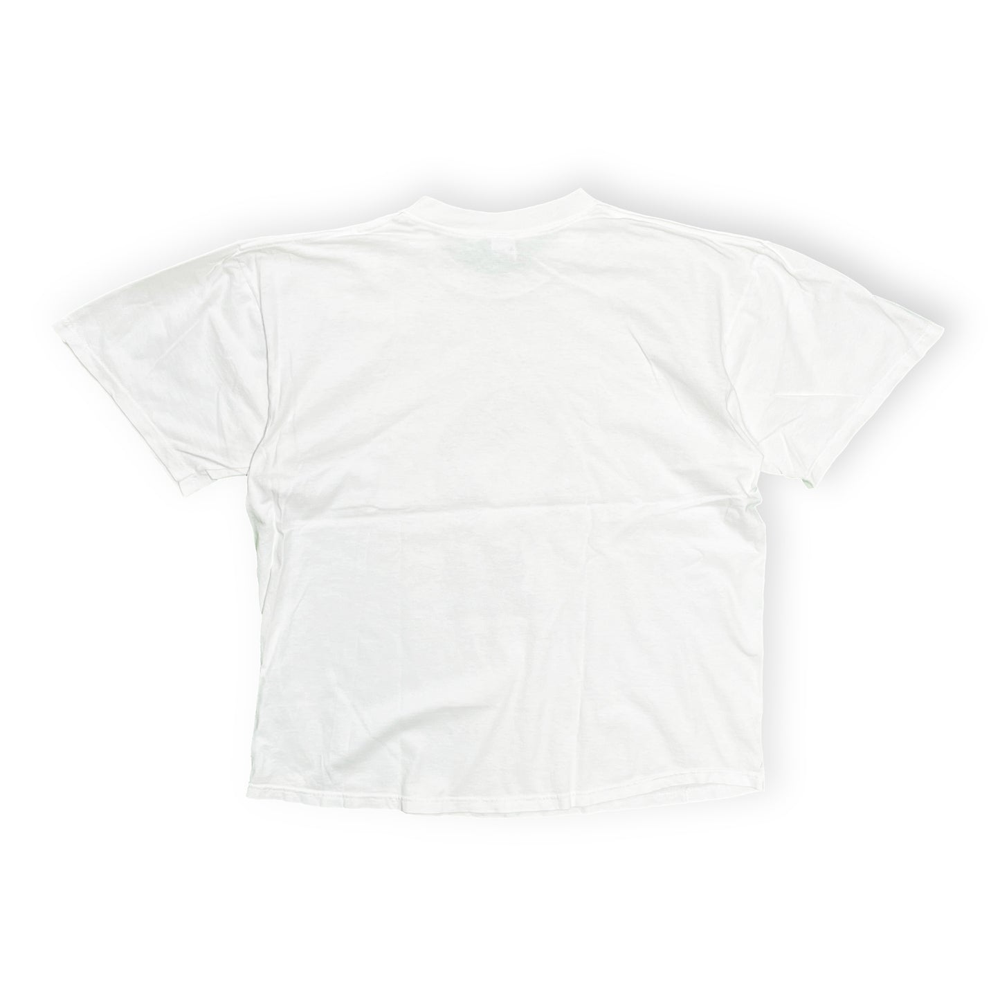 90's SOFFE SHIRTS Largely Literary Series "Marie Curie" T Size (XL)