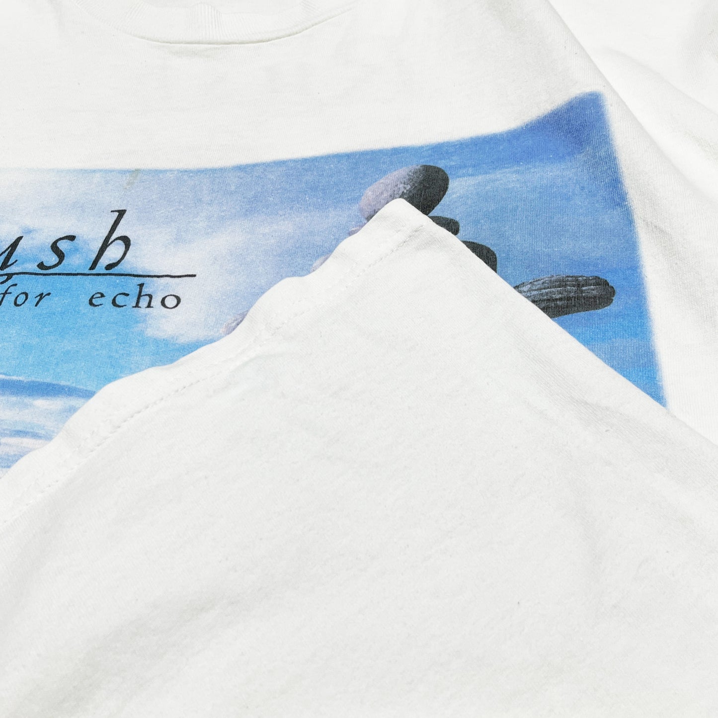 90's Hanes Rush "Test for Echo" T Size (XL)