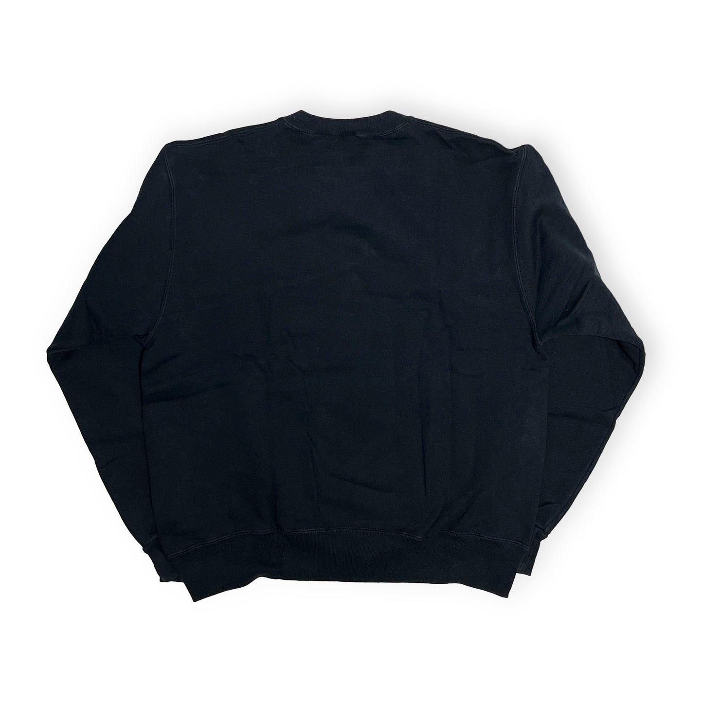 90's Champion？ 青刺繍タグ Sweat Size (XL)位 レア！