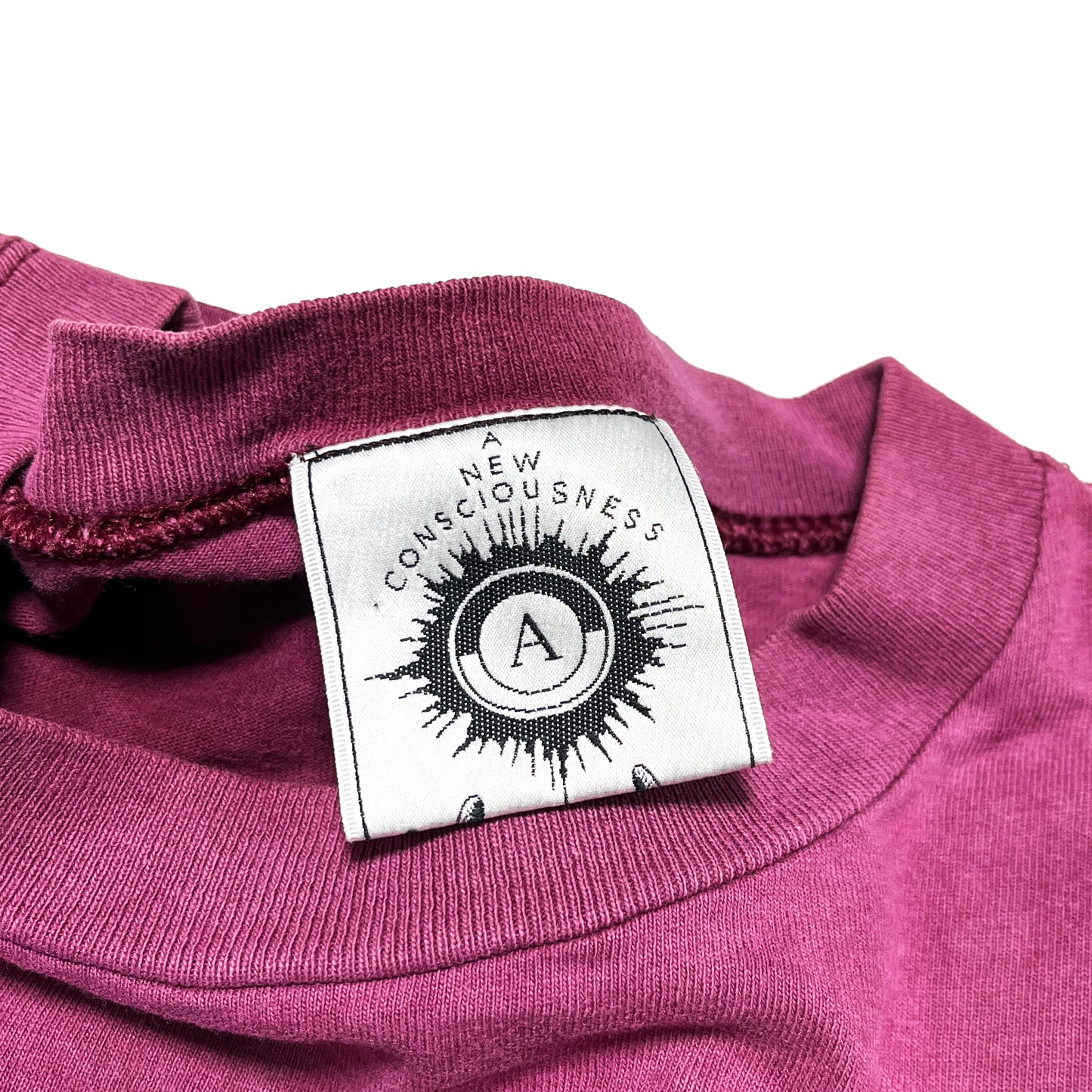 90's ANARCHIC ADJUSTMENT TULTEX L/S T スパイラル Size (XL) レア！