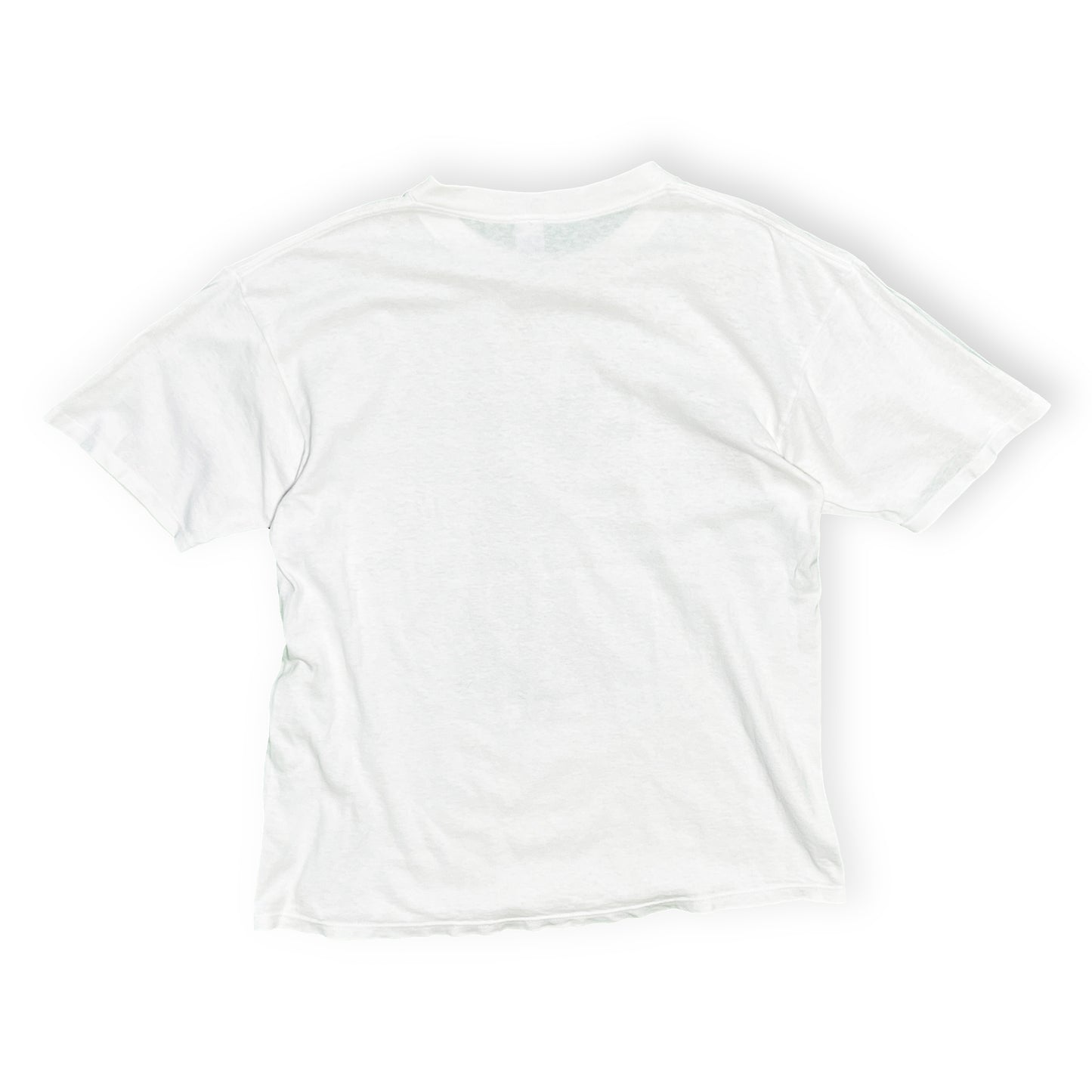 90's SOFFE SHIRTS Largely Literary Series "Darwin" T Size (L)