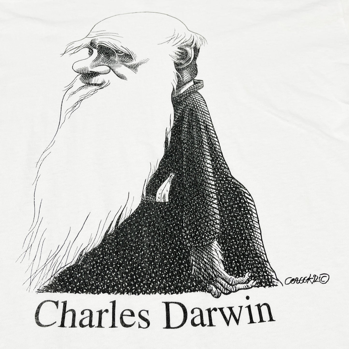 90's SOFFE SHIRTS Largely Literary Series "Darwin" T Size (L)