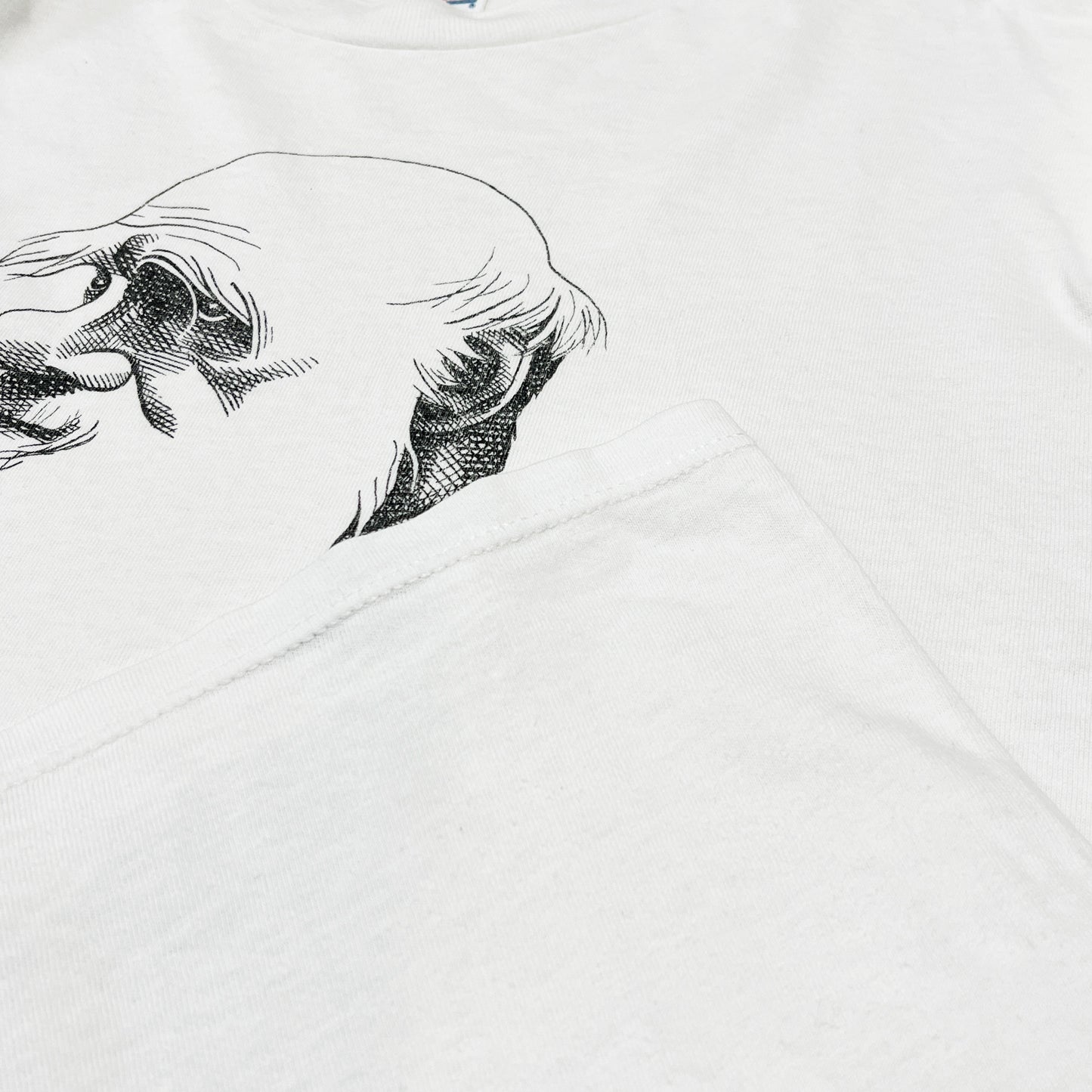 90's SOFFE SHIRTS Largely Literary Series "Darwin" T Size (L)