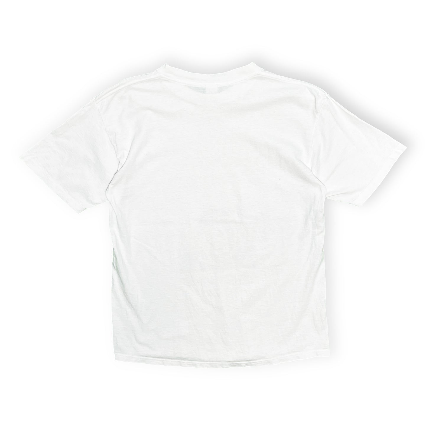 90's SOFFE SHIRTS Largely Literary Series "Albert Einstein" T Size (L)