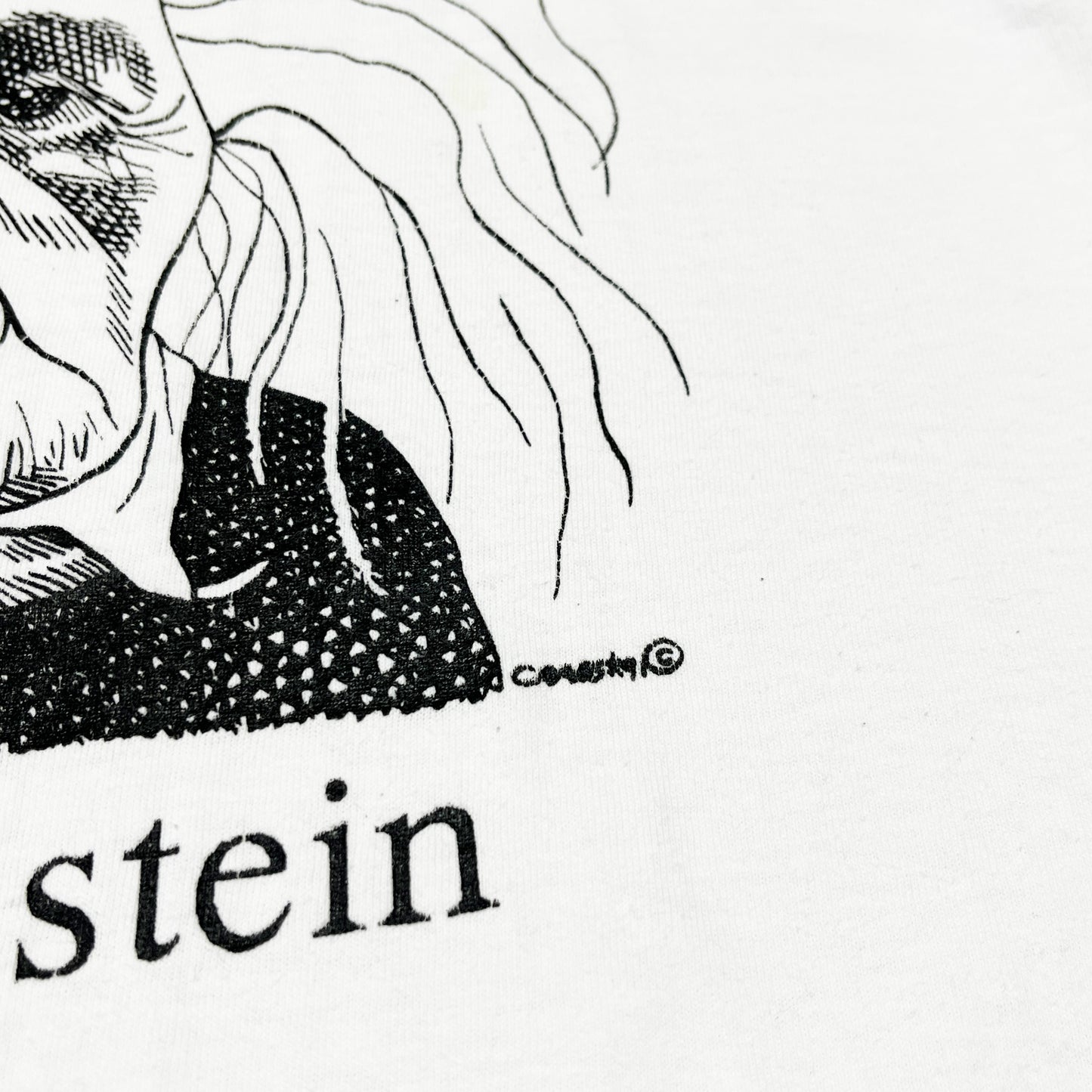 90's SOFFE SHIRTS Largely Literary Series "Albert Einstein" T Size (L)