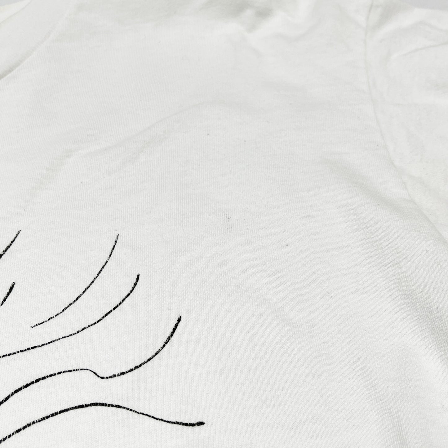 90's SOFFE SHIRTS Largely Literary Series "Albert Einstein" T Size (L)