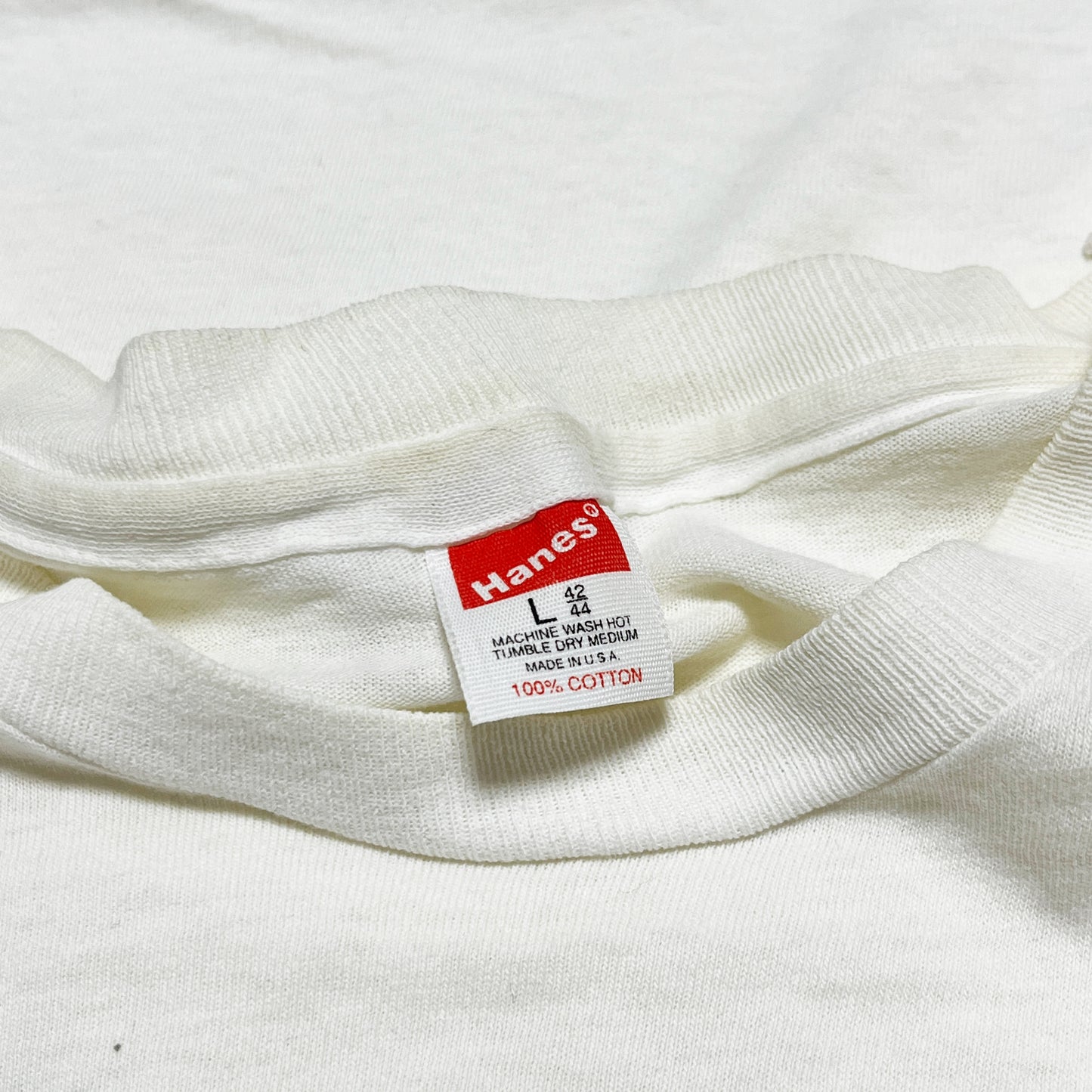80's Hanes Apple T レインボーロゴ Size (L)