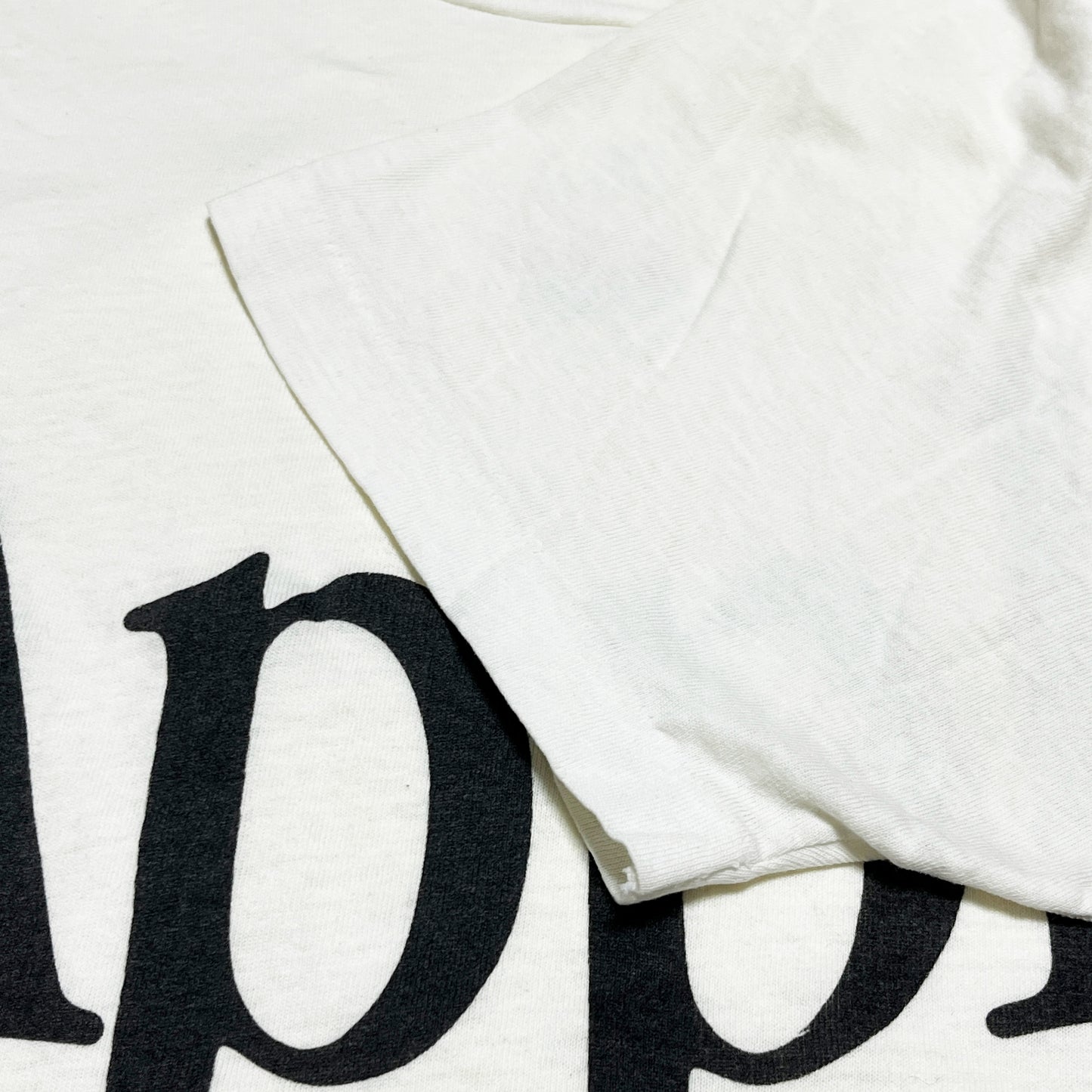 80's Hanes Apple T レインボーロゴ Size (L)