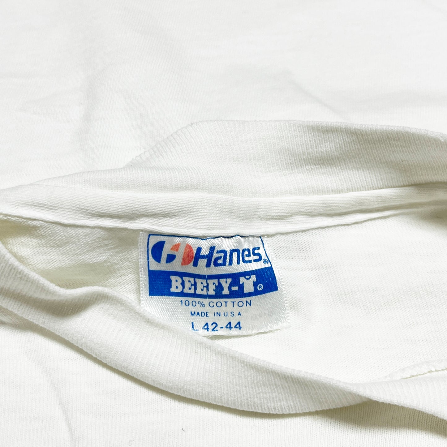80's〜 Hanes Simpson Pocket T 両面プリント Size (L)