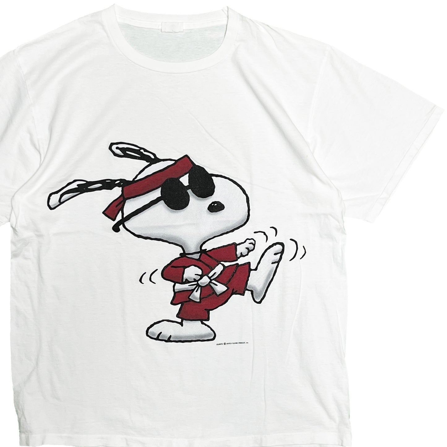 90's IN ADVANCE Snoopy "JOE COOL" T Size (XL)