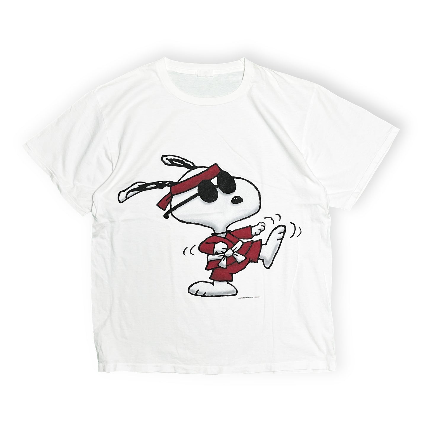 90's IN ADVANCE Snoopy "JOE COOL" T Size (XL)