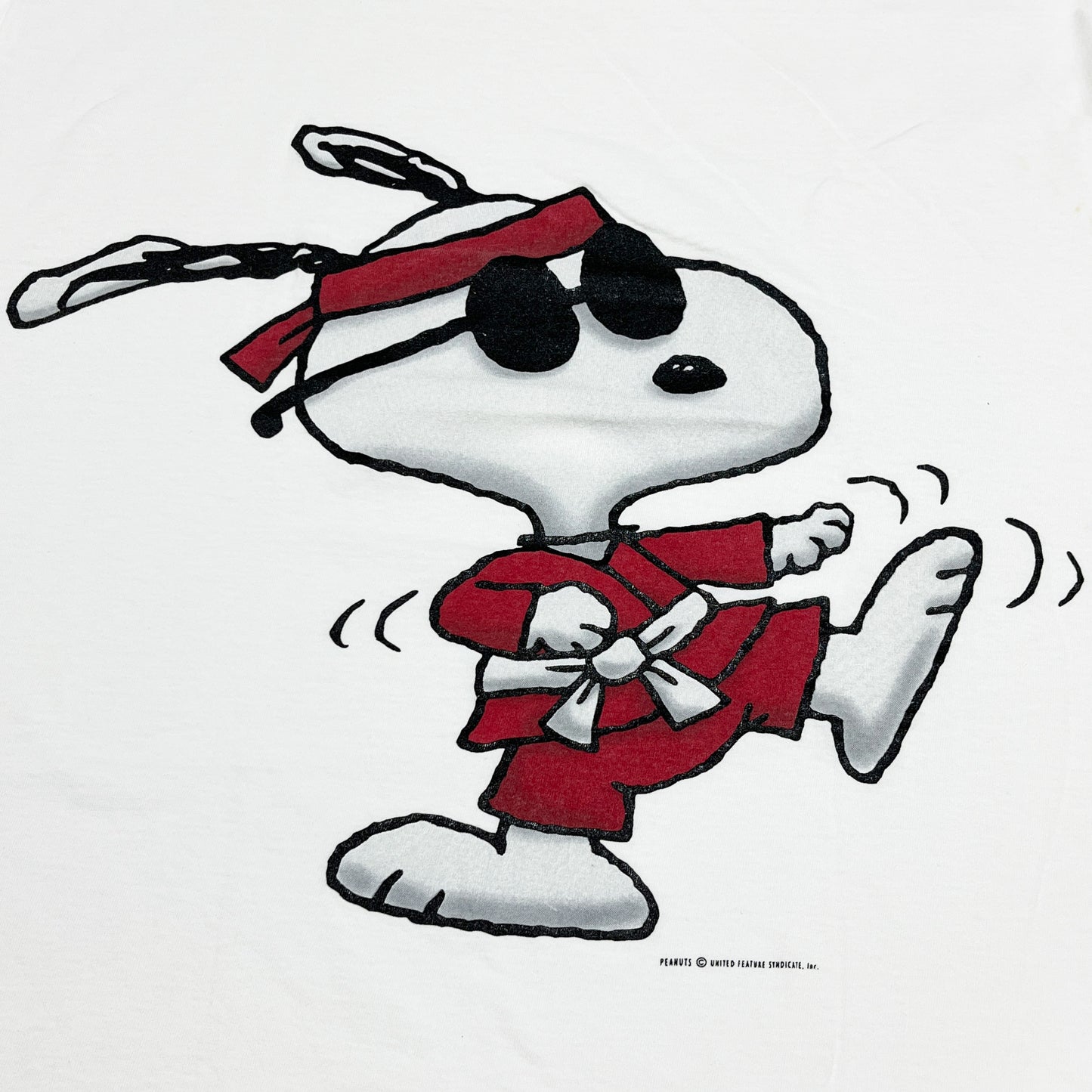 90's IN ADVANCE Snoopy "JOE COOL" T Size (XL)
