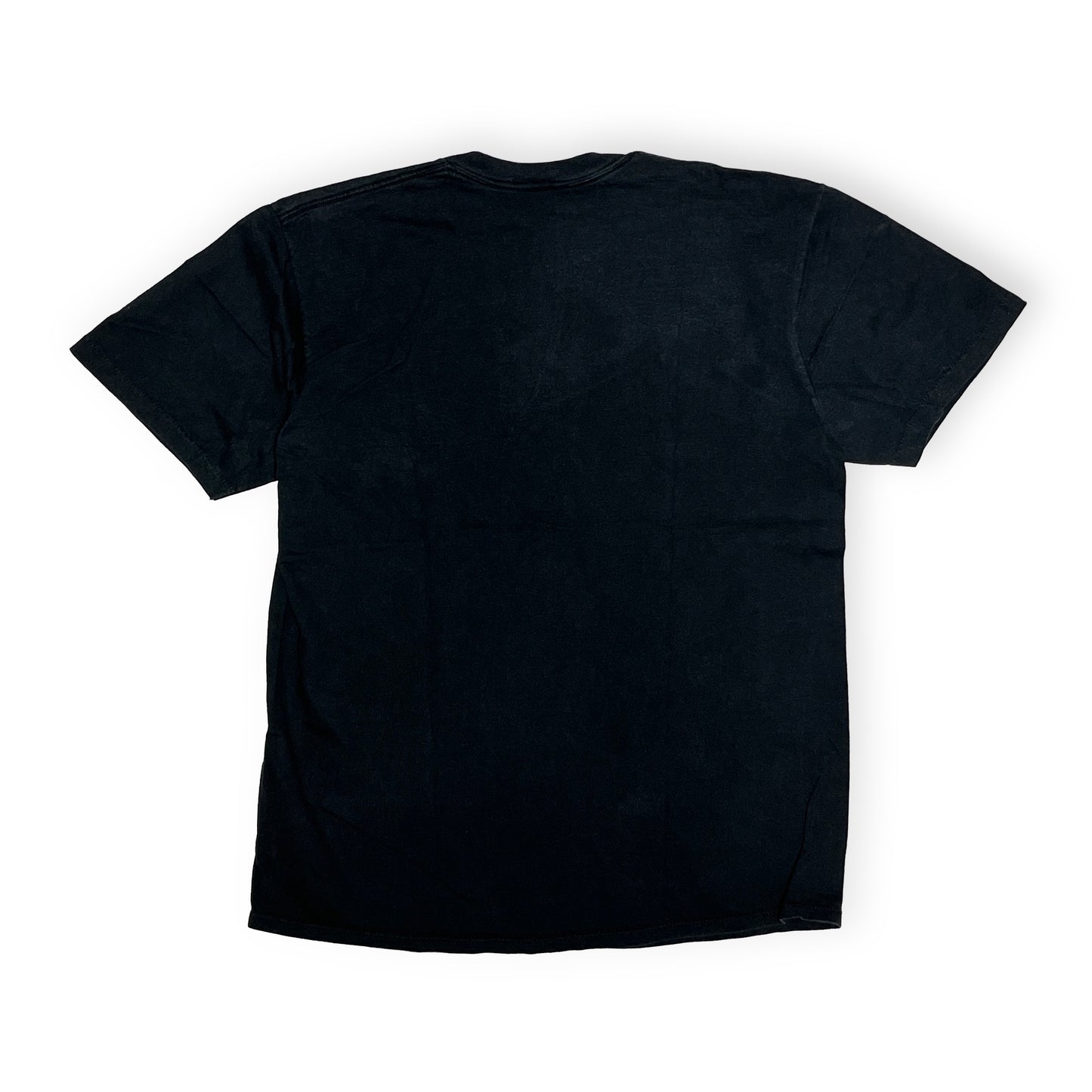 90's JERZEES BATWOMEN エロ T Size (XL)