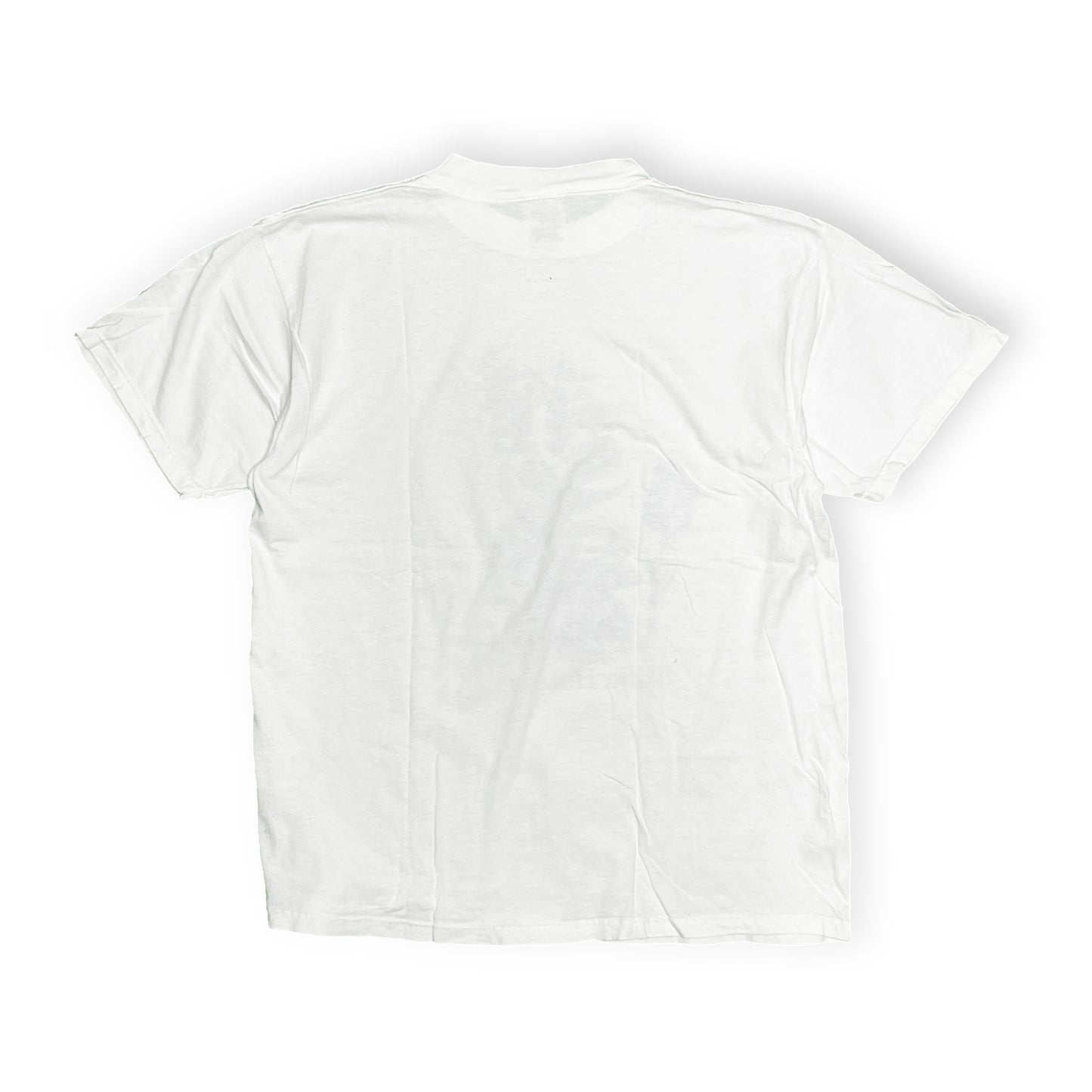 90's TULTEX Largely Literary Series "Bille Holiday" T Size (XL)
