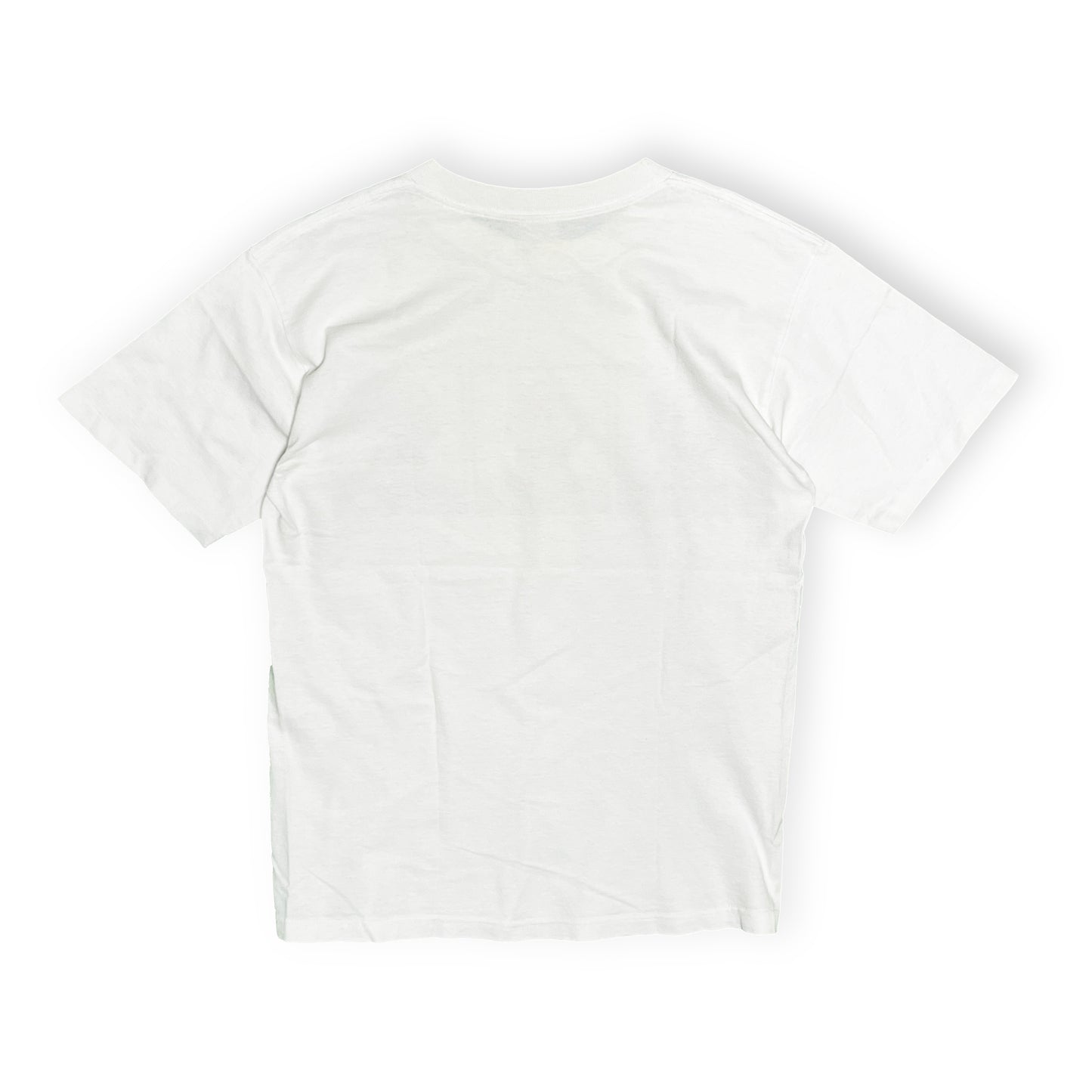 90's BLUE HAIR Dennis Rodman T Size (L)位