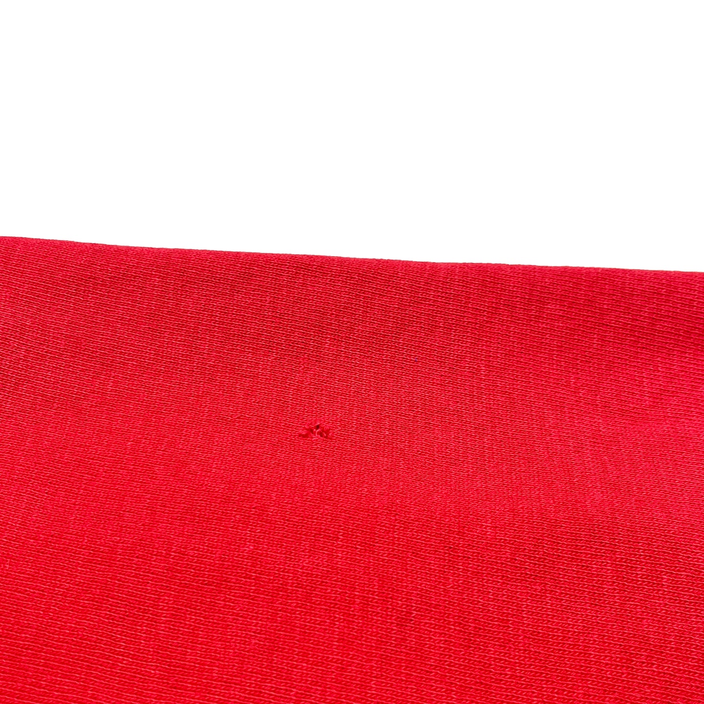 70's 単色タグ Champion R/W Parka フェード Size (L)