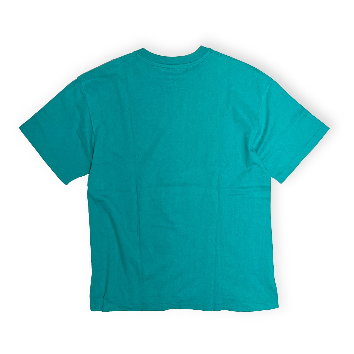 90s Hanes エロ T L レア 背面 青緑色 背面のみ