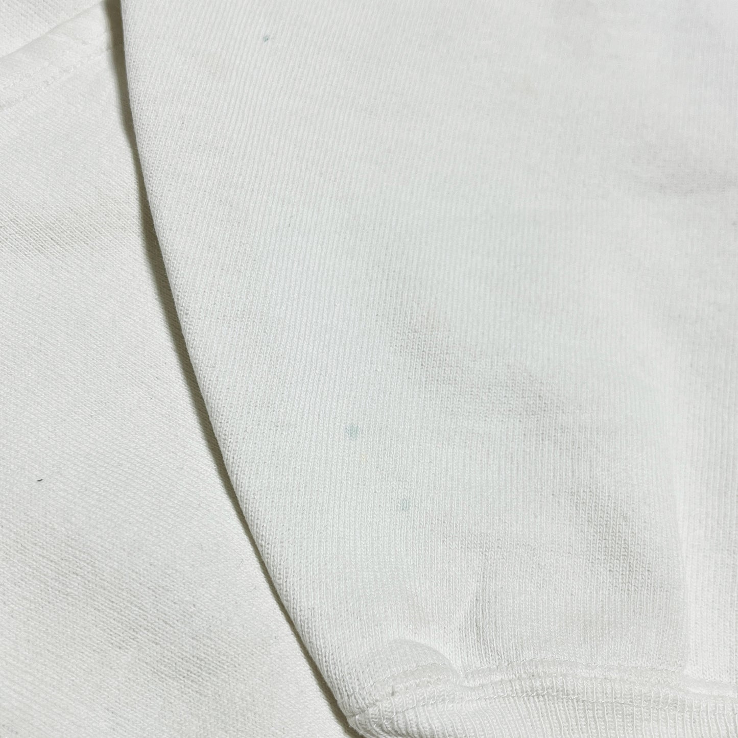 80's Champion プリントタグ R/W ハーフジップ Size (M) レア！