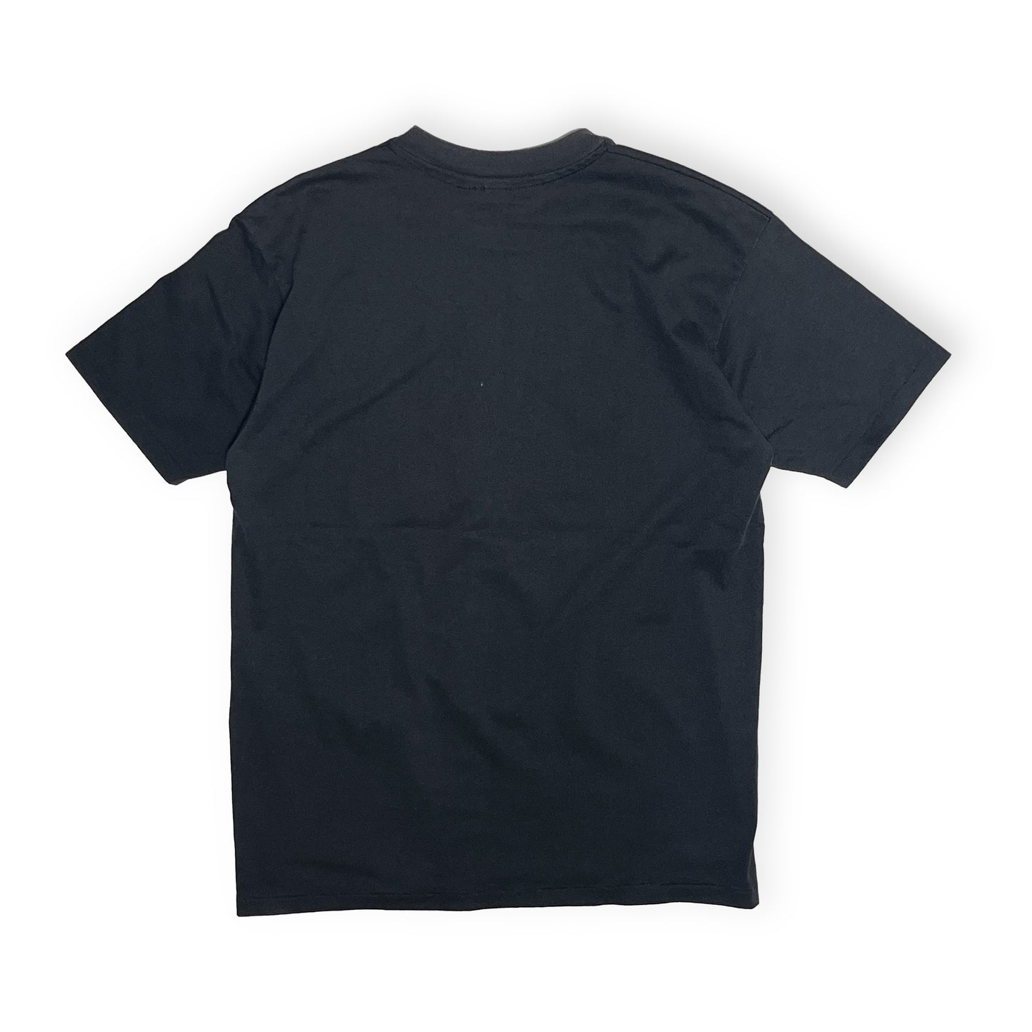 90s Hanes Harley Davidson T L 背面 黒Tシャツ背面 ロゴプリントなし