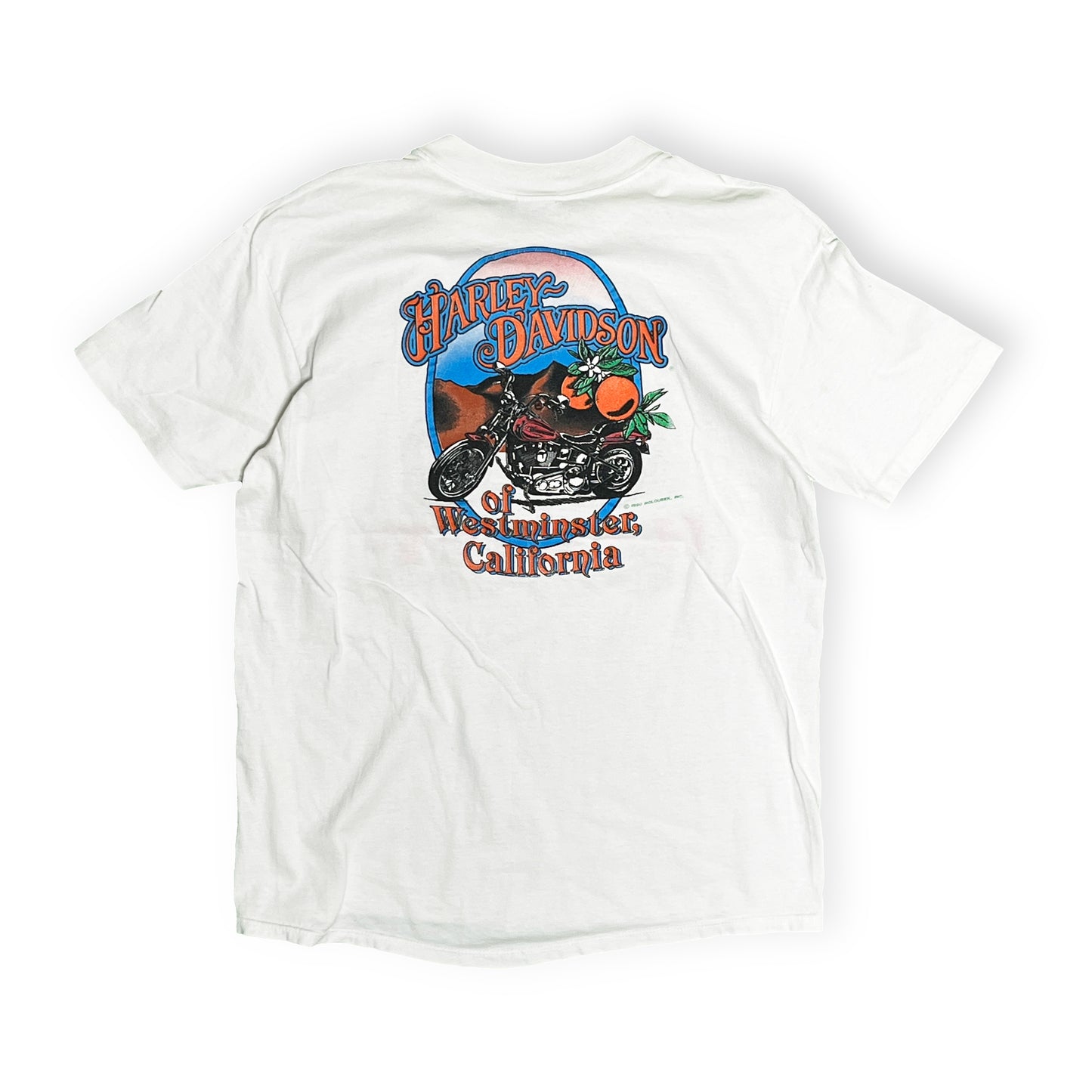 90s Stedman Harley Davidson T 両面プリント 白ボディー L 背面 ハーレー・ダビソンロゴ バイクイラスト 西ミシガン州