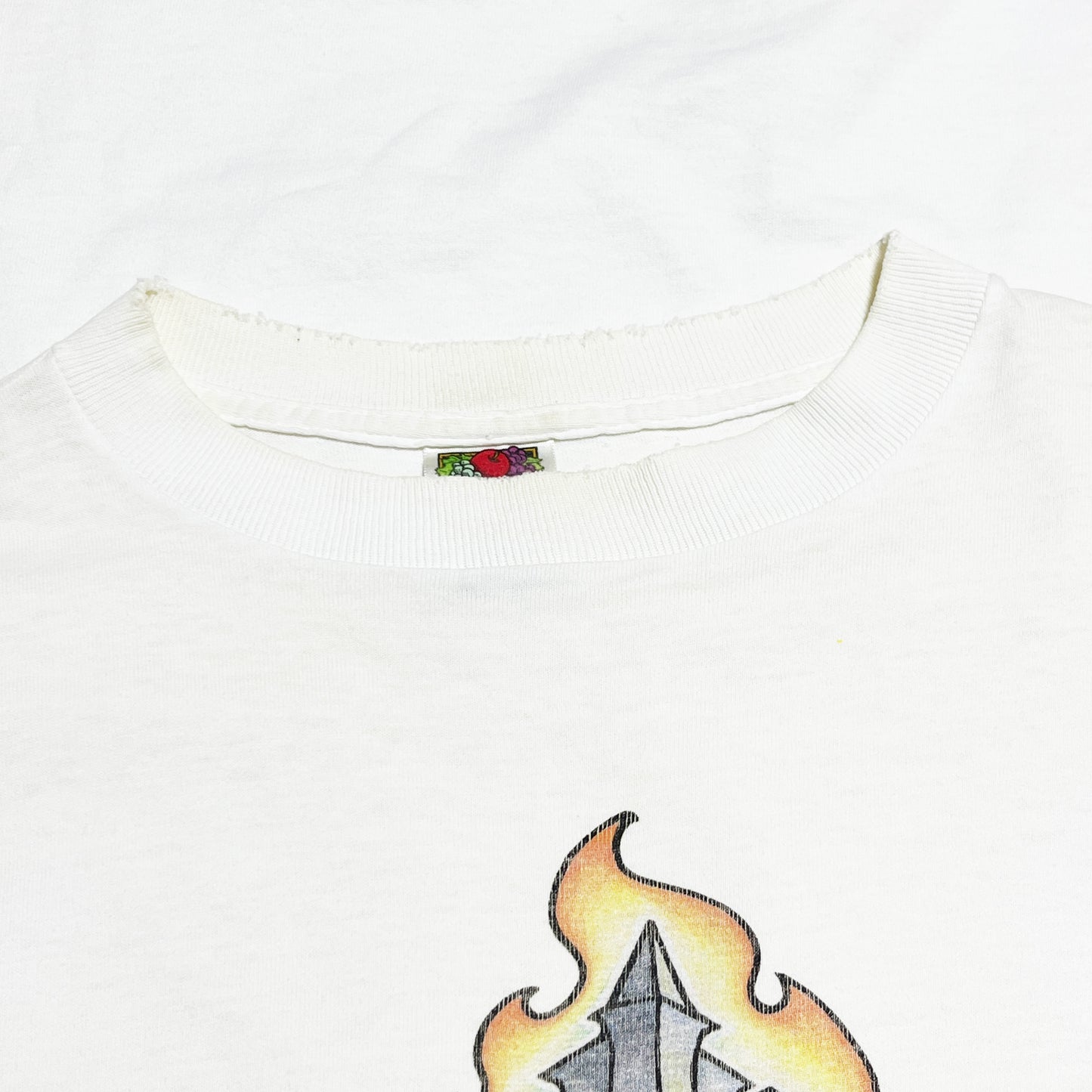 90s〜 FRUIT OF THE LOOM THRASHER L/S T L ディテール 2 プリント拡大 プリントのディテール