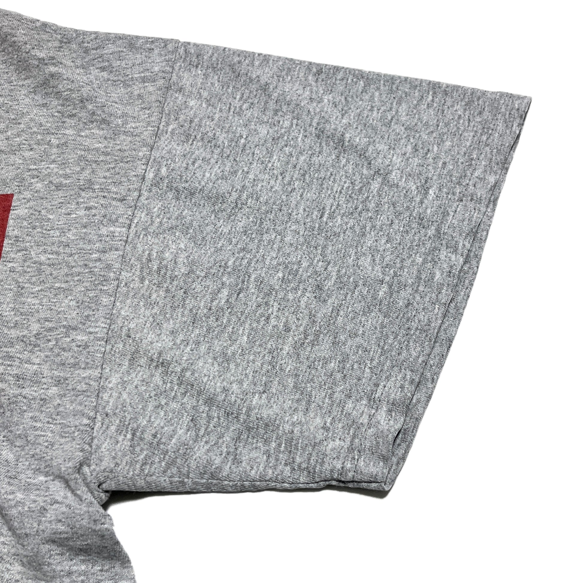90s DELTA NOFX "Punk in Drublic" T L ディテール 灰色Tシャツの袖口 赤いプリントの端が見える