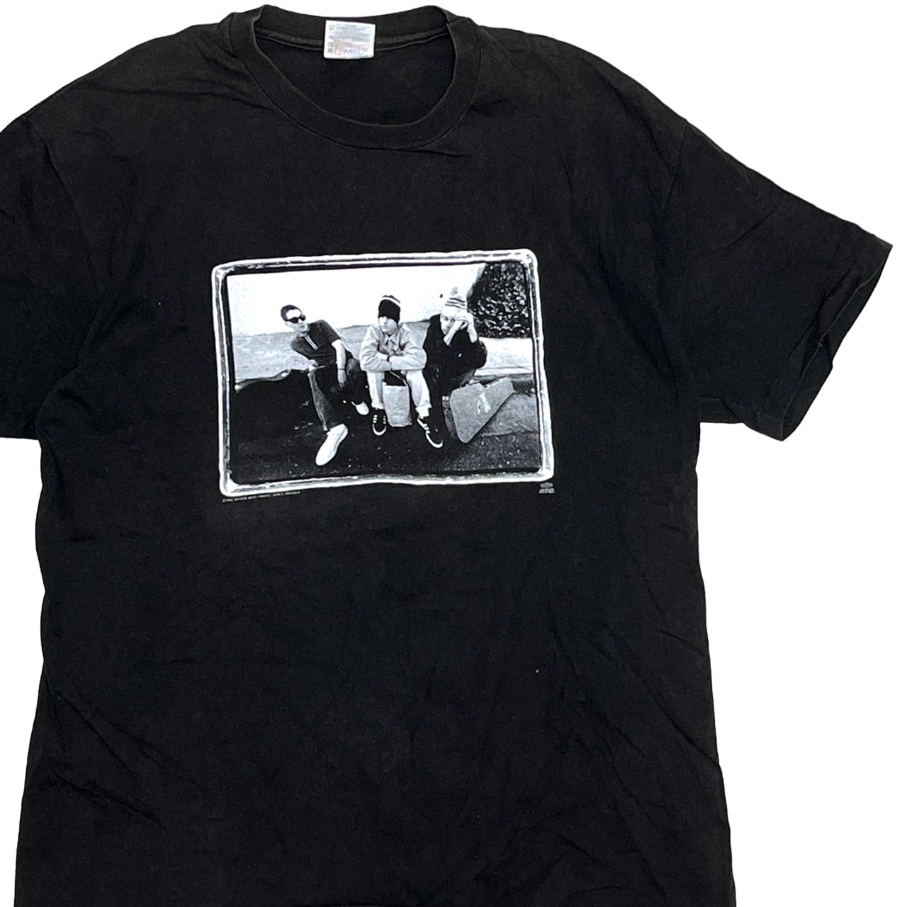 90's Hanes Beastie Boys "Check Your Head" T Size (XL)