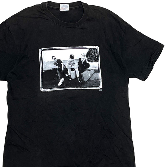 90's Hanes Beastie Boys "Check Your Head" T Size (XL)