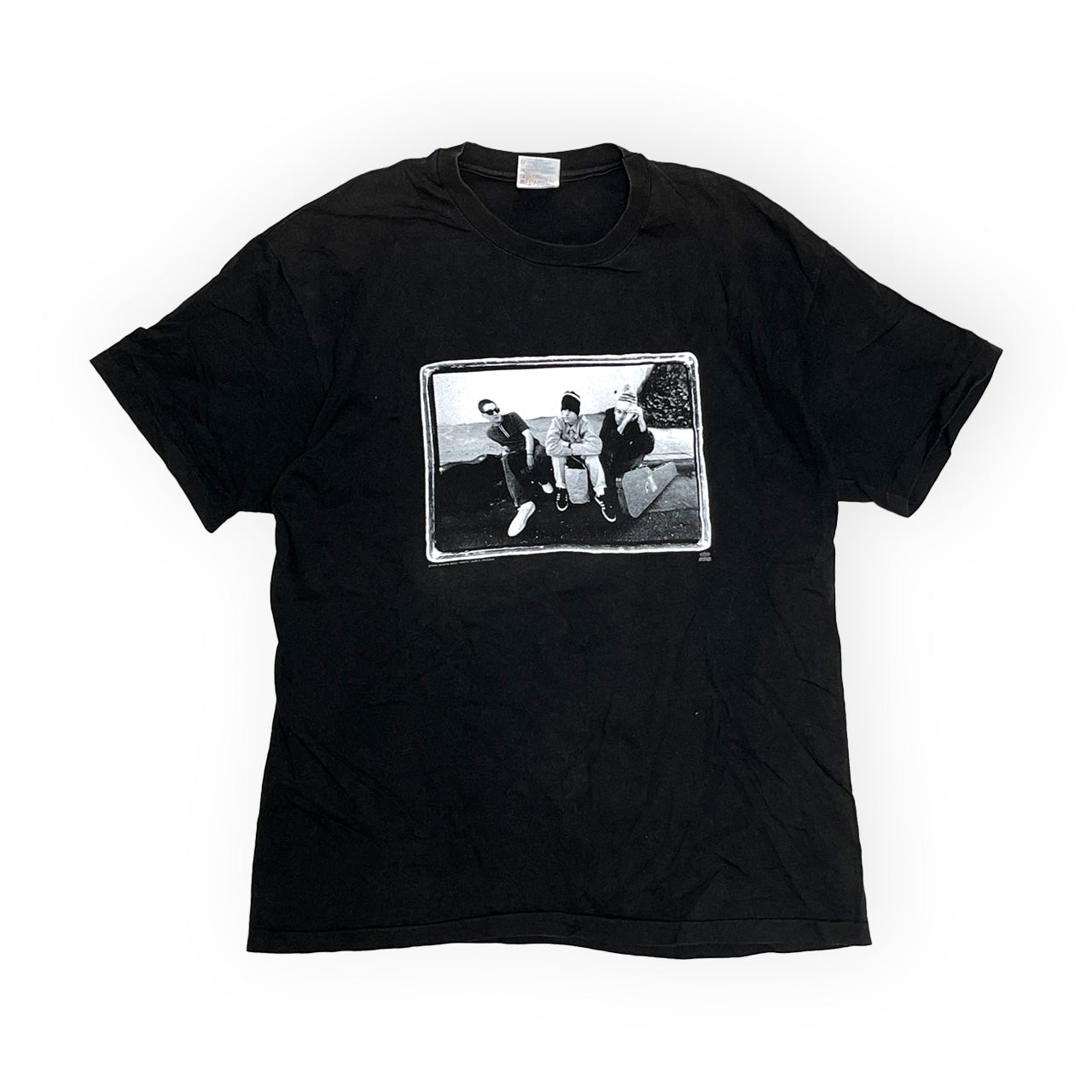 90's Hanes Beastie Boys "Check Your Head" T Size (XL)