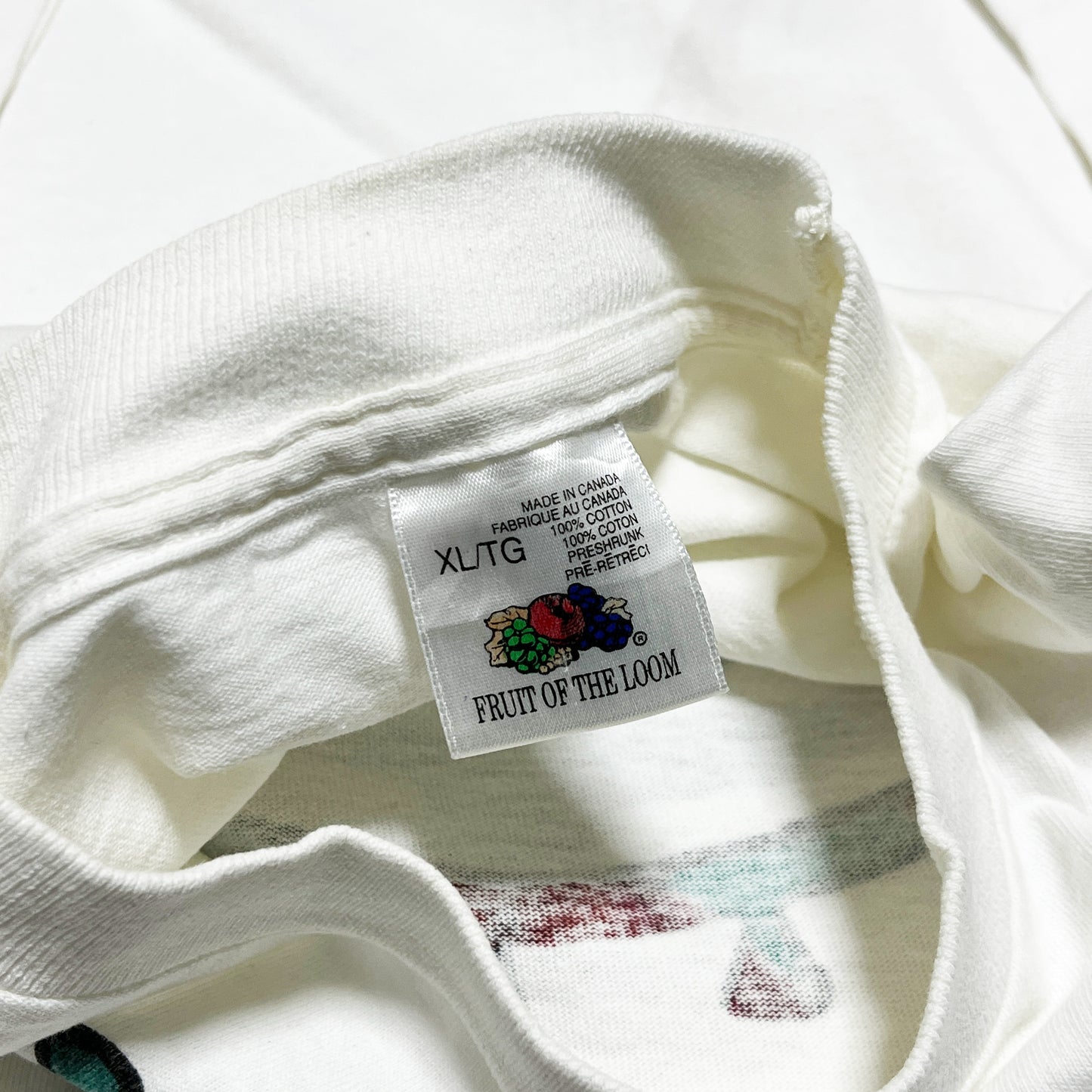 90's FRUIT OF THE LOMM "Artburn" T Size (XL)