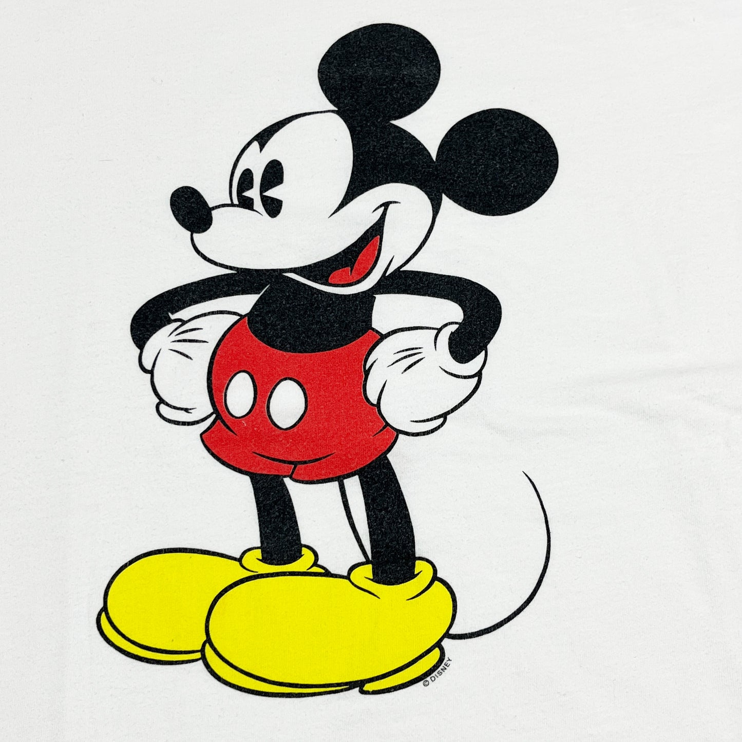 90's Tour Champ Mickey T Size (XL)